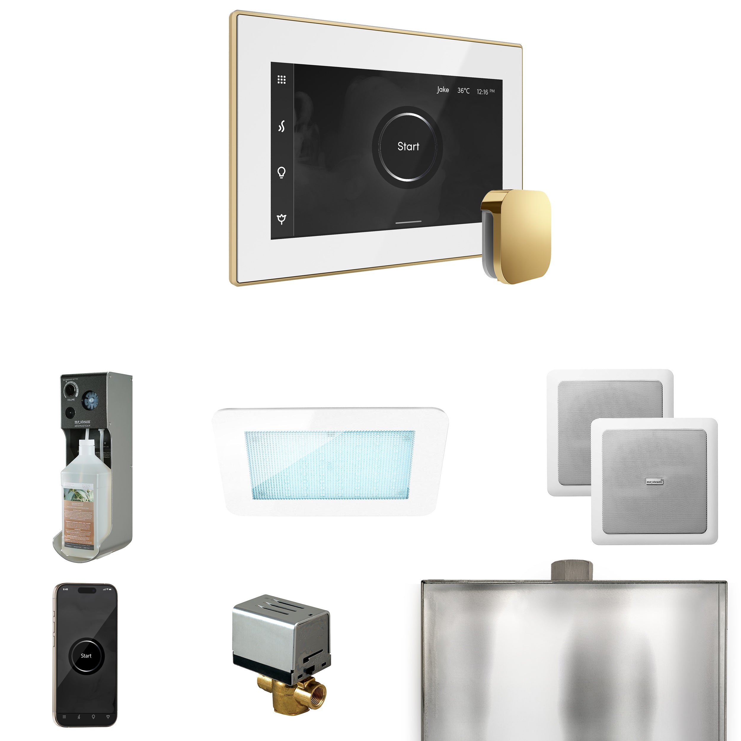 Mr Steam XDream Steam Shower Control Package with iSteamX Control and Steamhead