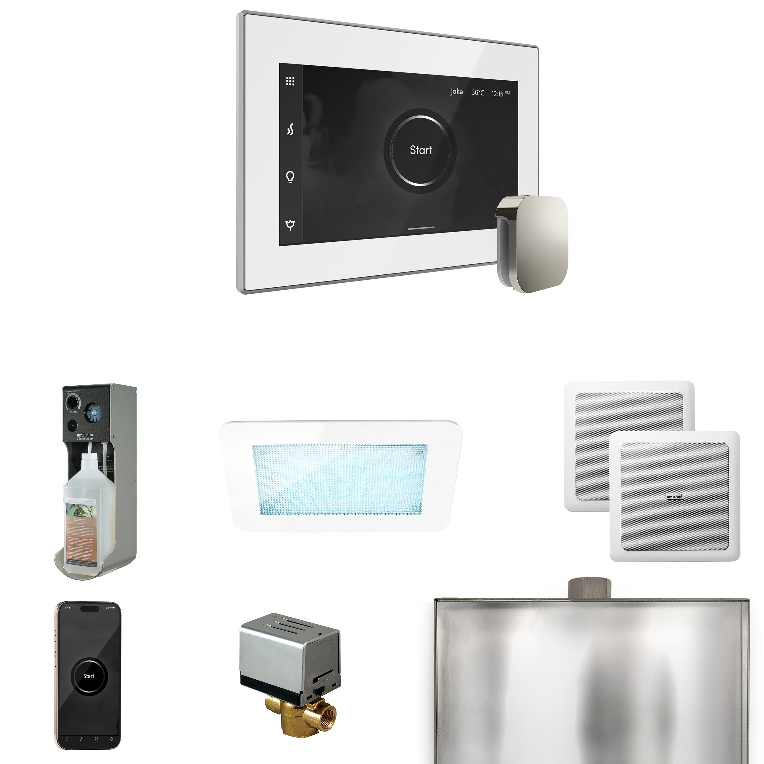 Mr Steam XDream Steam Shower Control Package with iSteamX Control and Steamhead