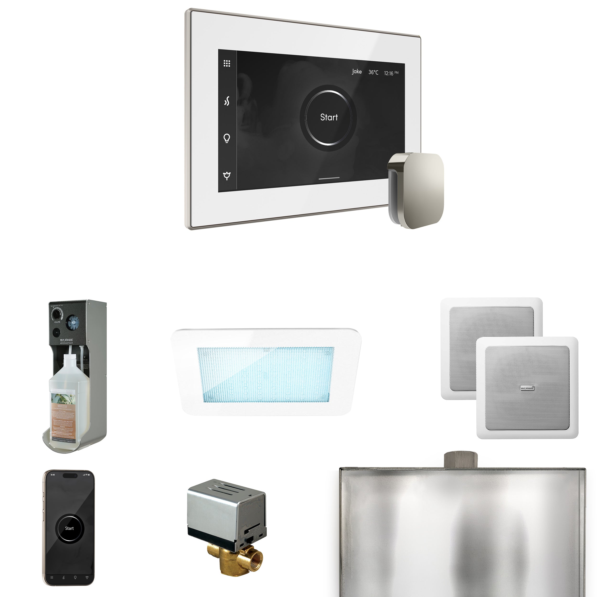 Mr Steam XDream Steam Shower Control Package with iSteamX Control and Steamhead