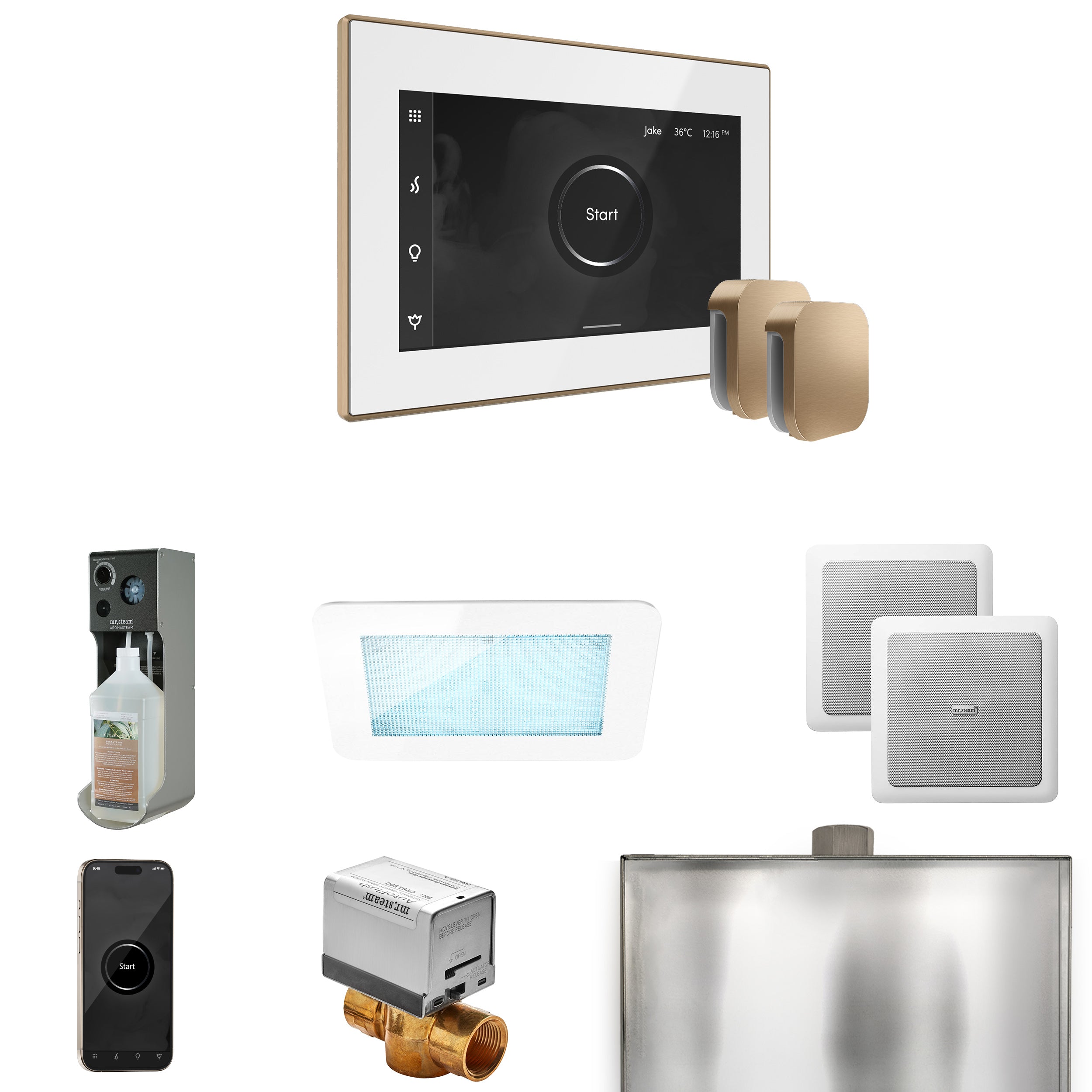 Mr Steam XDream Max Steam Shower Control Package with iSteamX Control and Steamhead