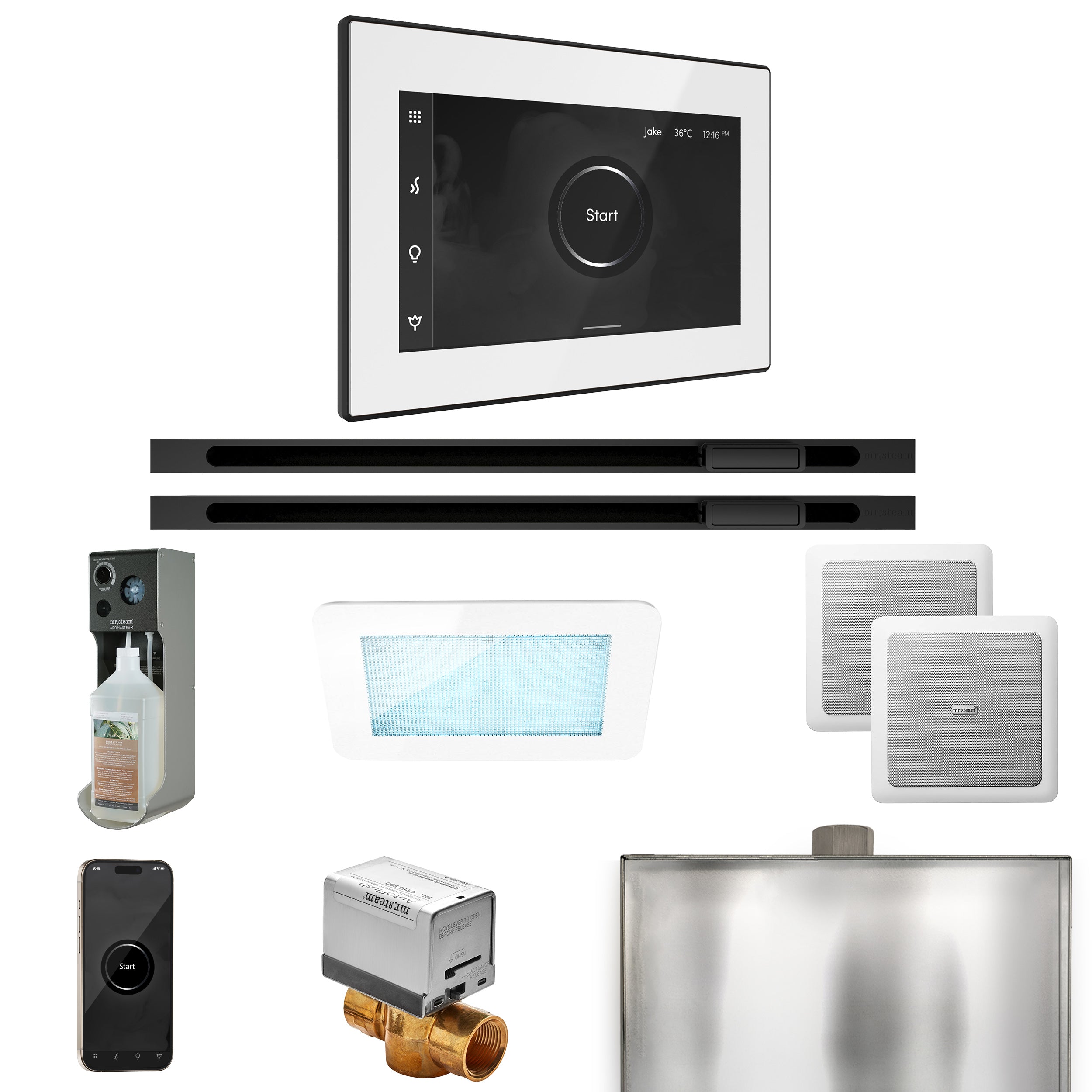Mr Steam XDream Max Steam Shower Control Package with iSteamX Control and Linear Steamhead
