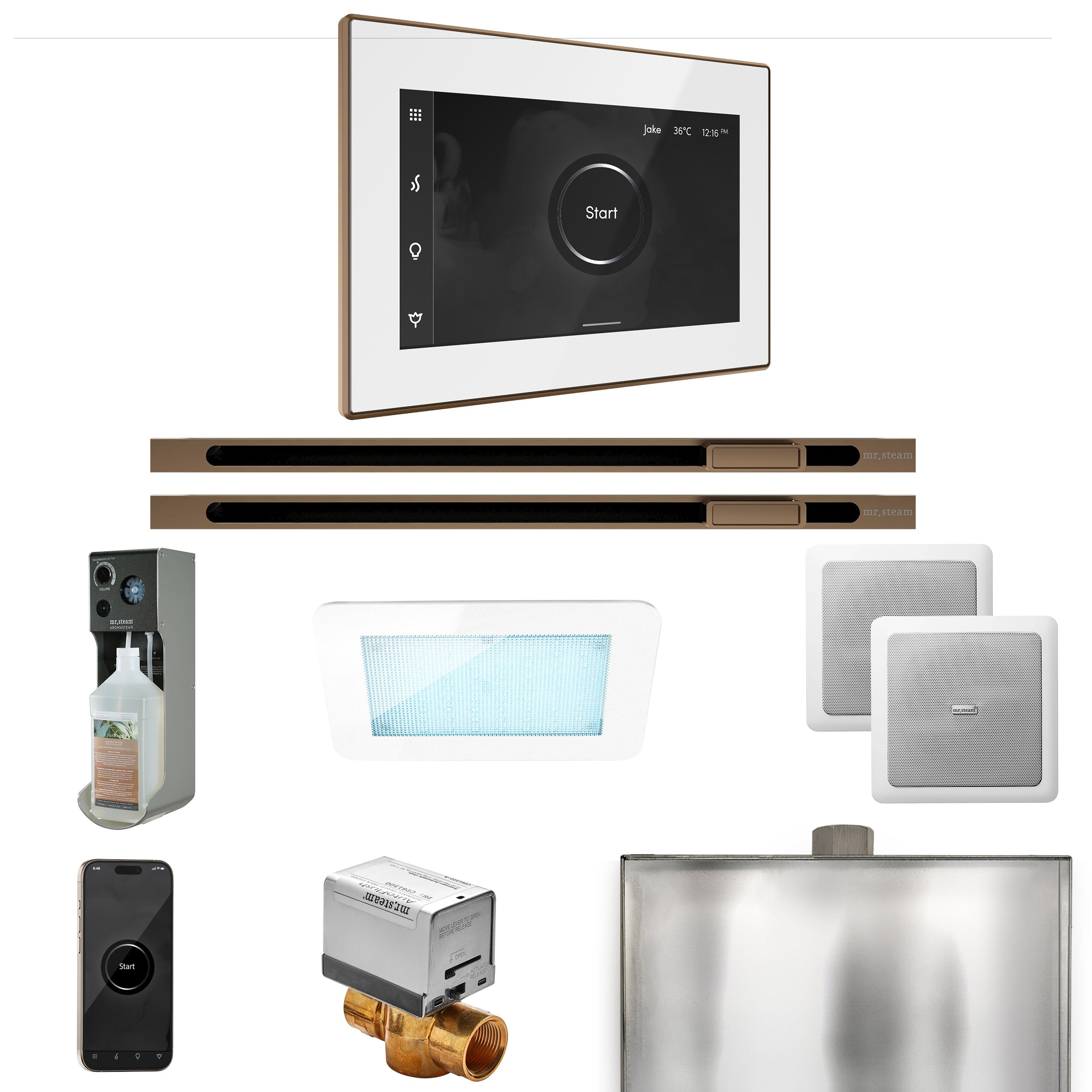 Mr Steam XDream Max Steam Shower Control Package with iSteamX Control and Linear Steamhead