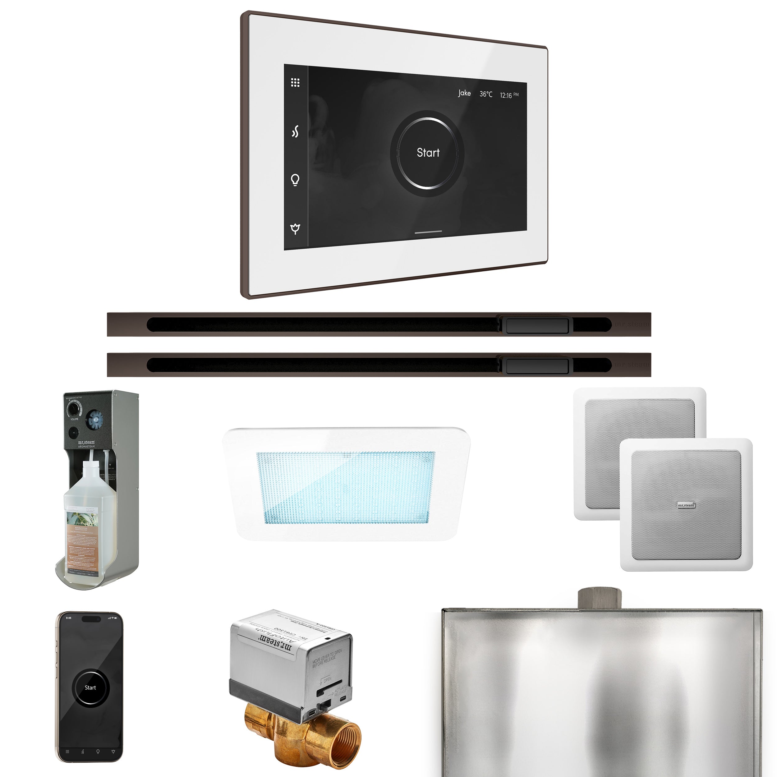 Mr Steam XDream Max Steam Shower Control Package with iSteamX Control and Linear Steamhead