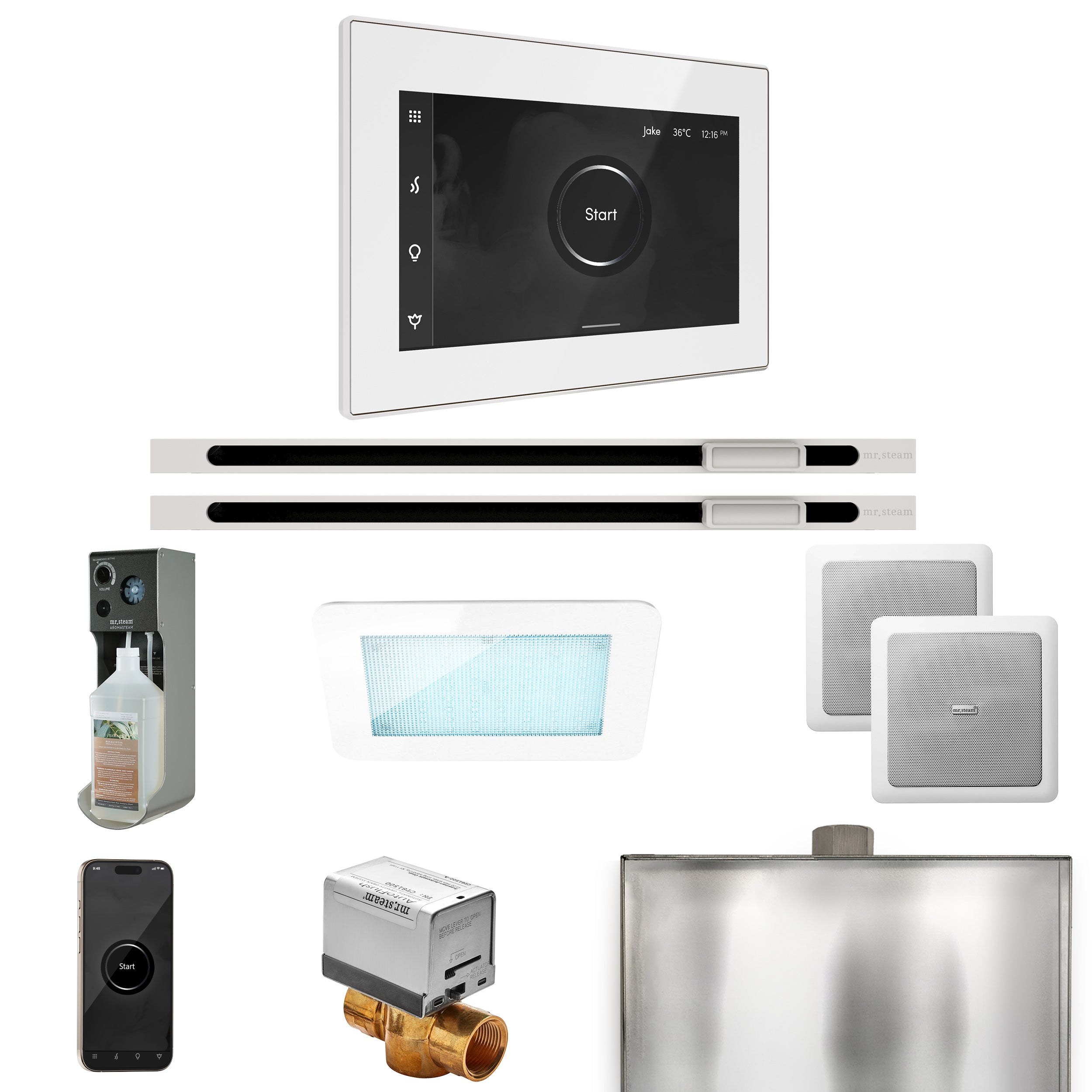 Mr Steam XDream Max Steam Shower Control Package with iSteamX Control and Linear Steamhead