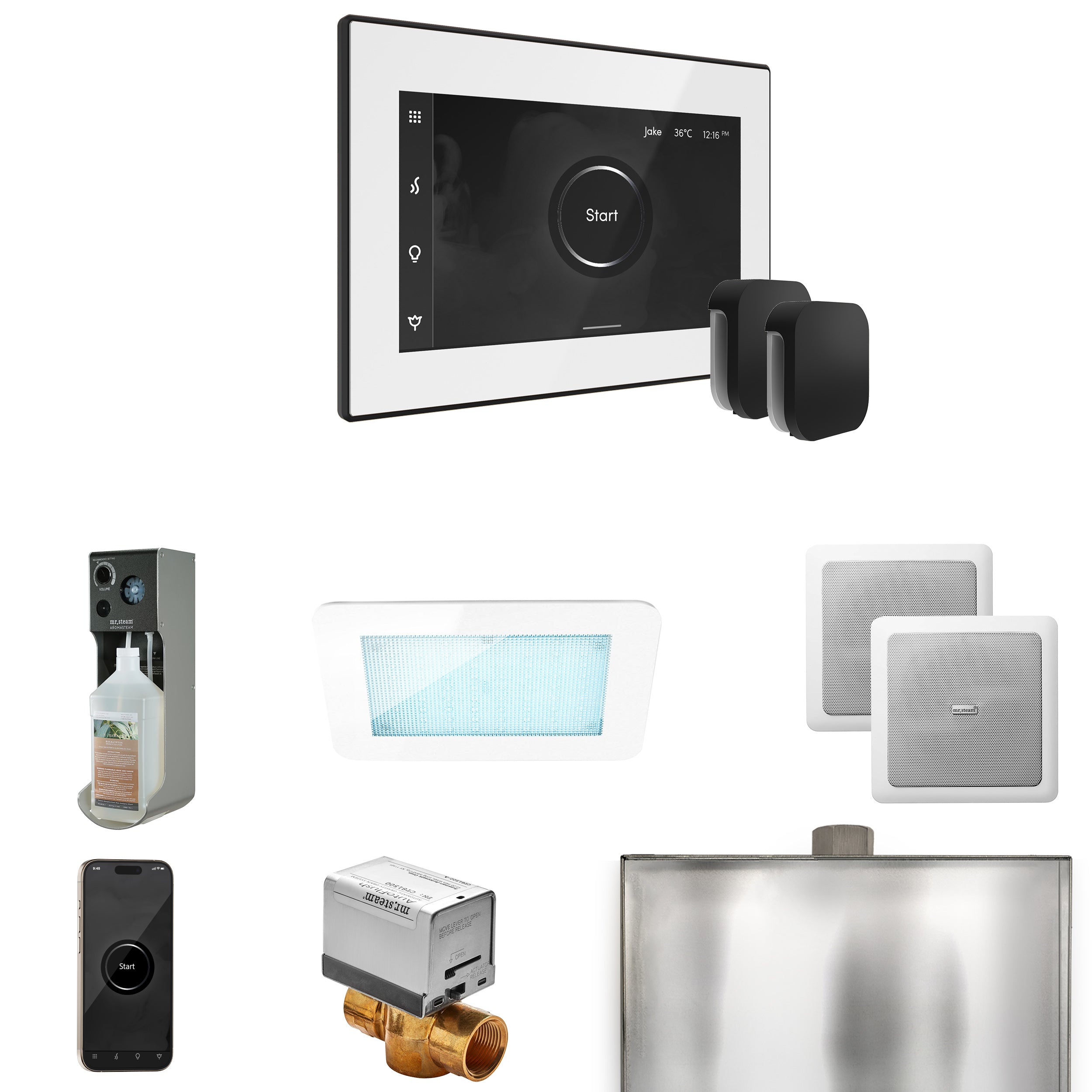 Mr Steam XDream Max Steam Shower Control Package with iSteamX Control and Steamhead