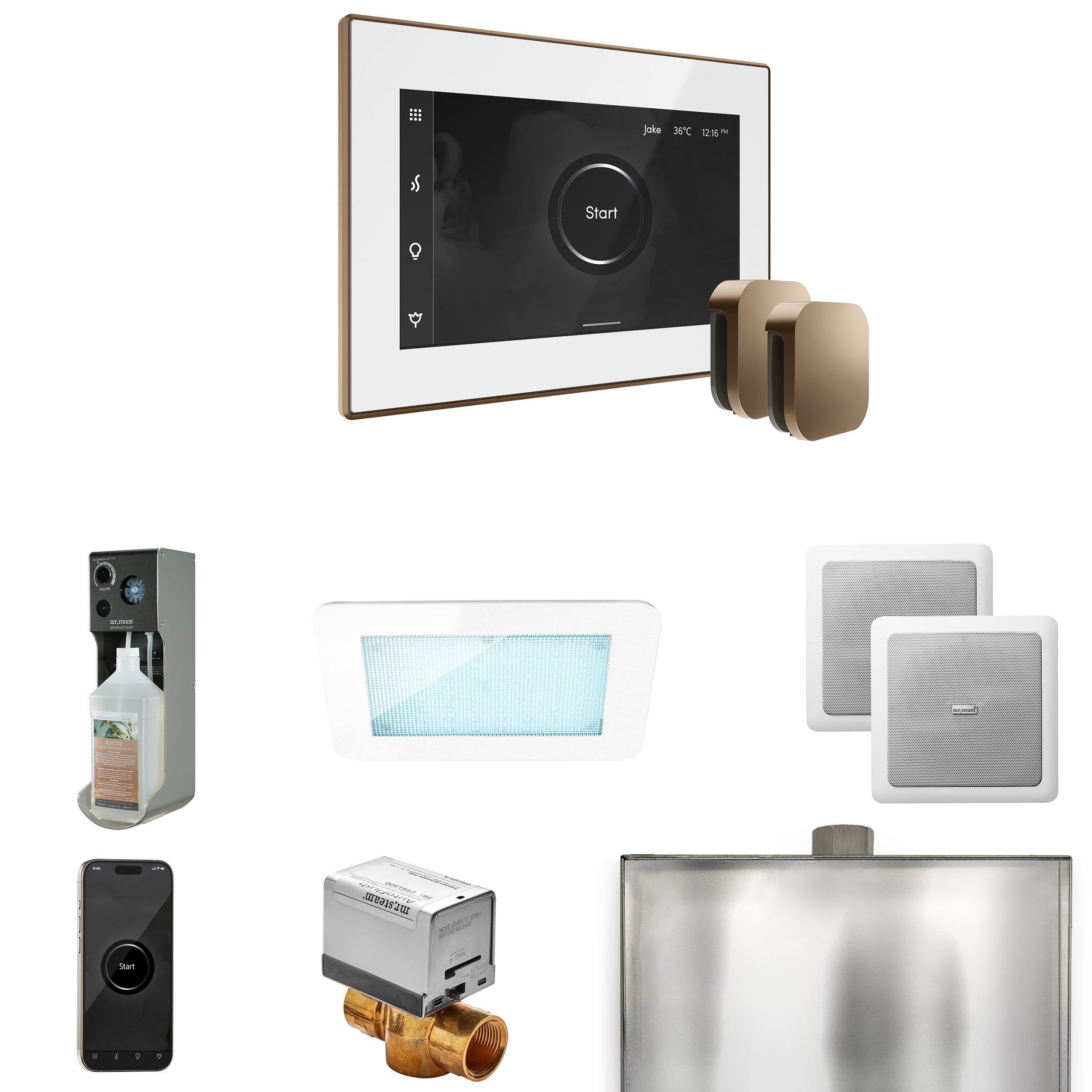 Mr Steam XDream Max Steam Shower Control Package with iSteamX Control and Steamhead