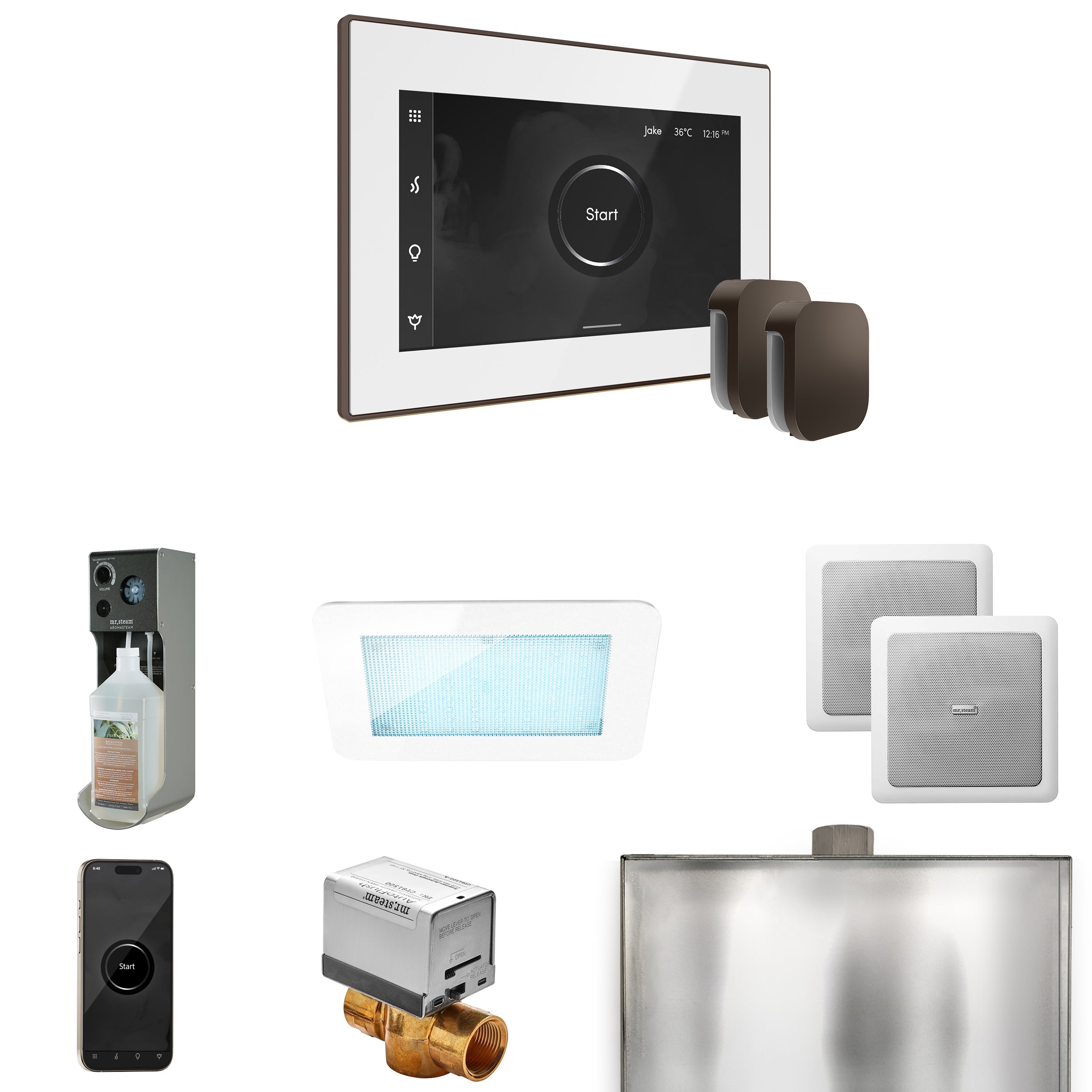Mr Steam XDream Max Steam Shower Control Package with iSteamX Control and Steamhead
