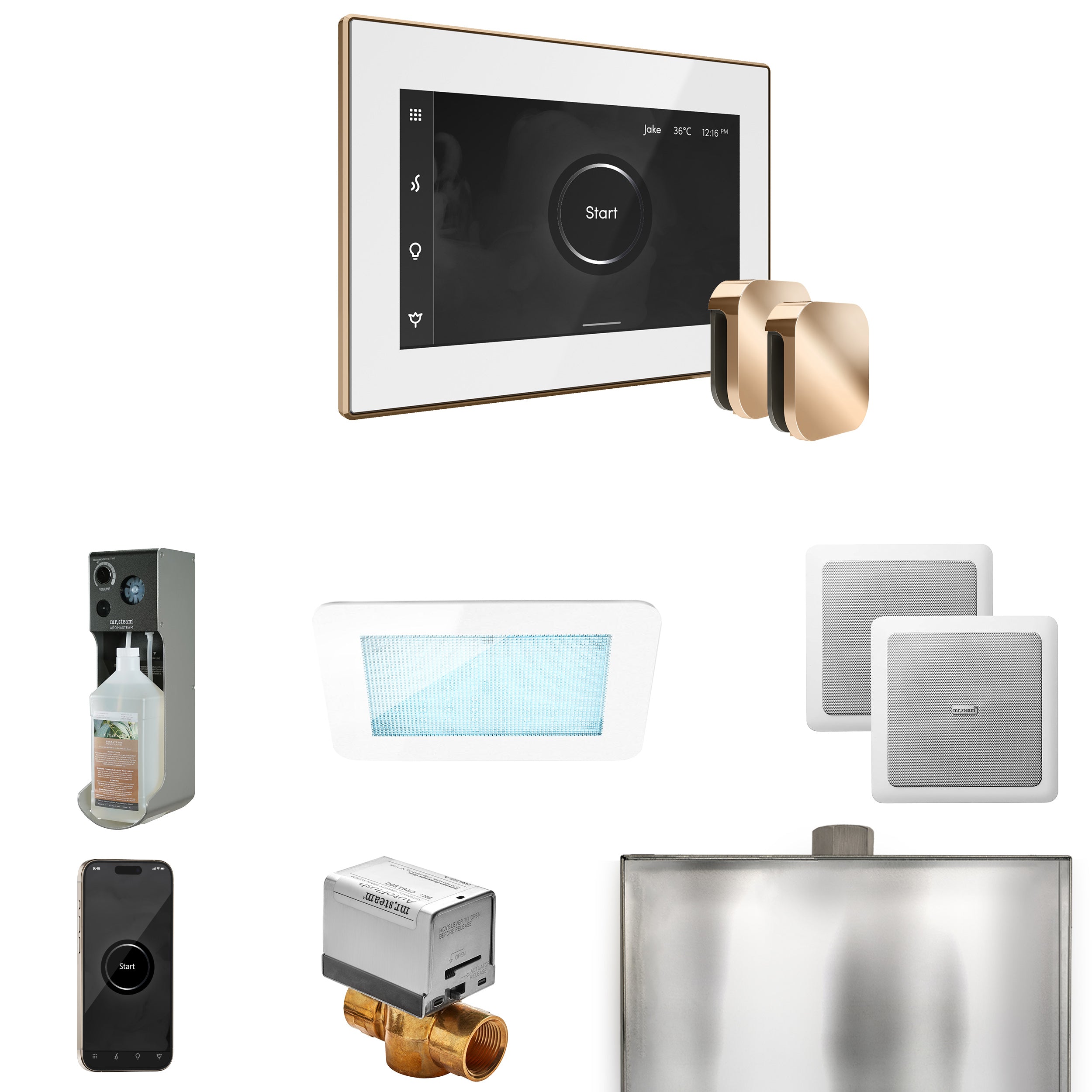Mr Steam XDream Max Steam Shower Control Package with iSteamX Control and Steamhead