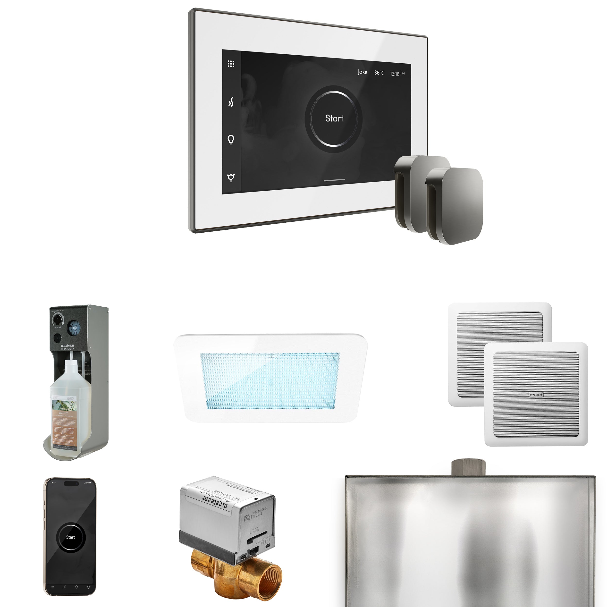 Mr Steam XDream Max Steam Shower Control Package with iSteamX Control and Steamhead