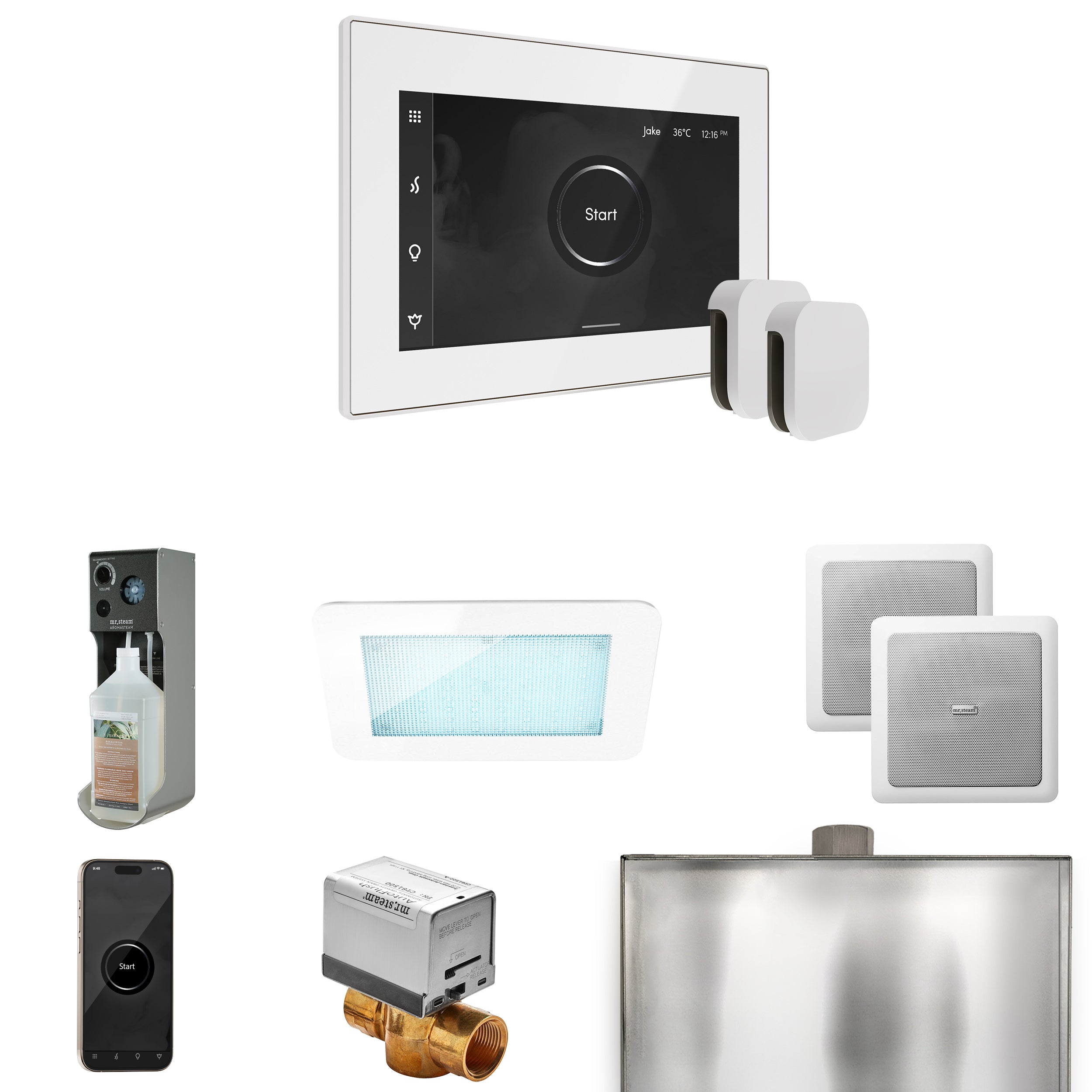 Mr Steam XDream Max Steam Shower Control Package with iSteamX Control and Steamhead
