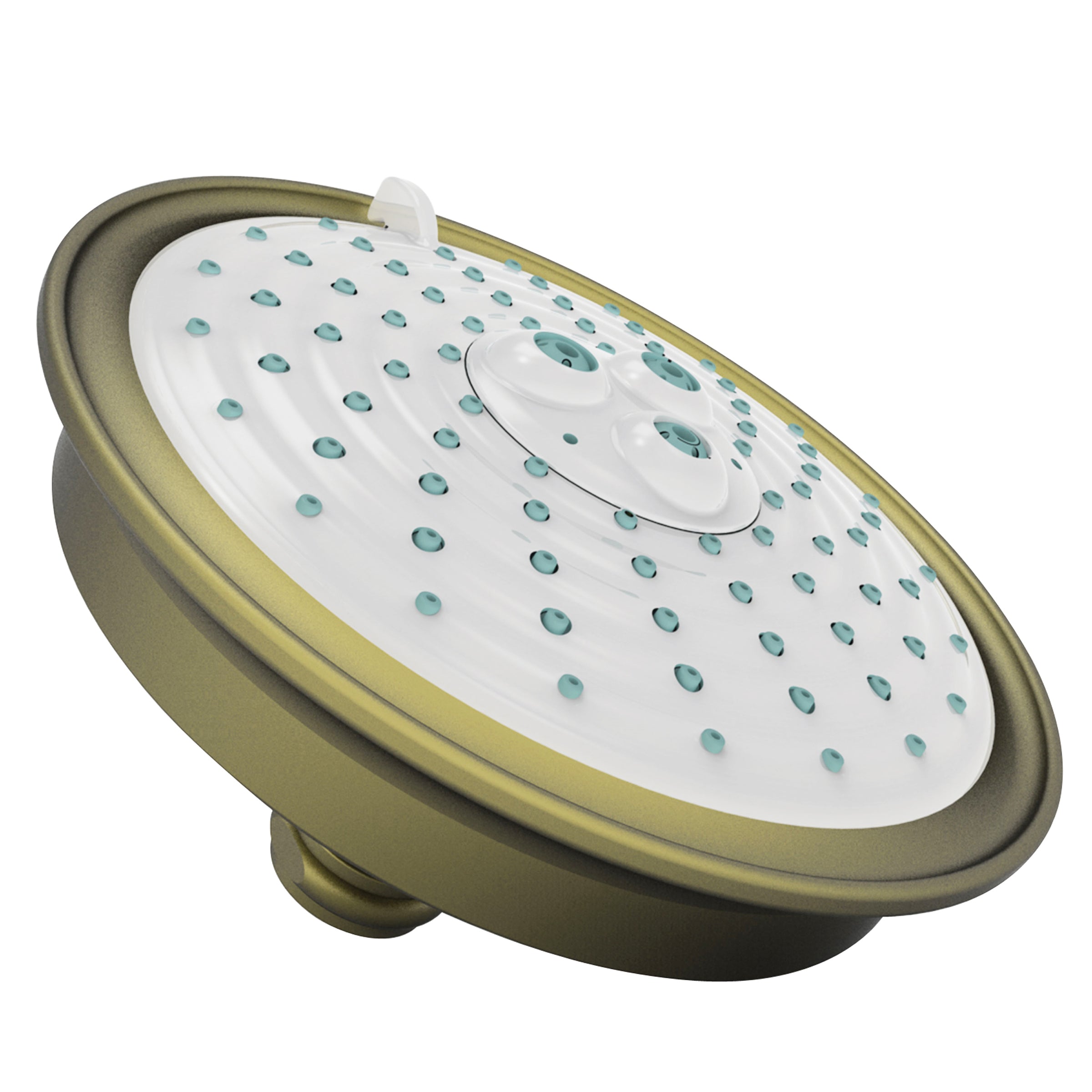 Newport Brass Tub & Shower Multifunction Showerhead
