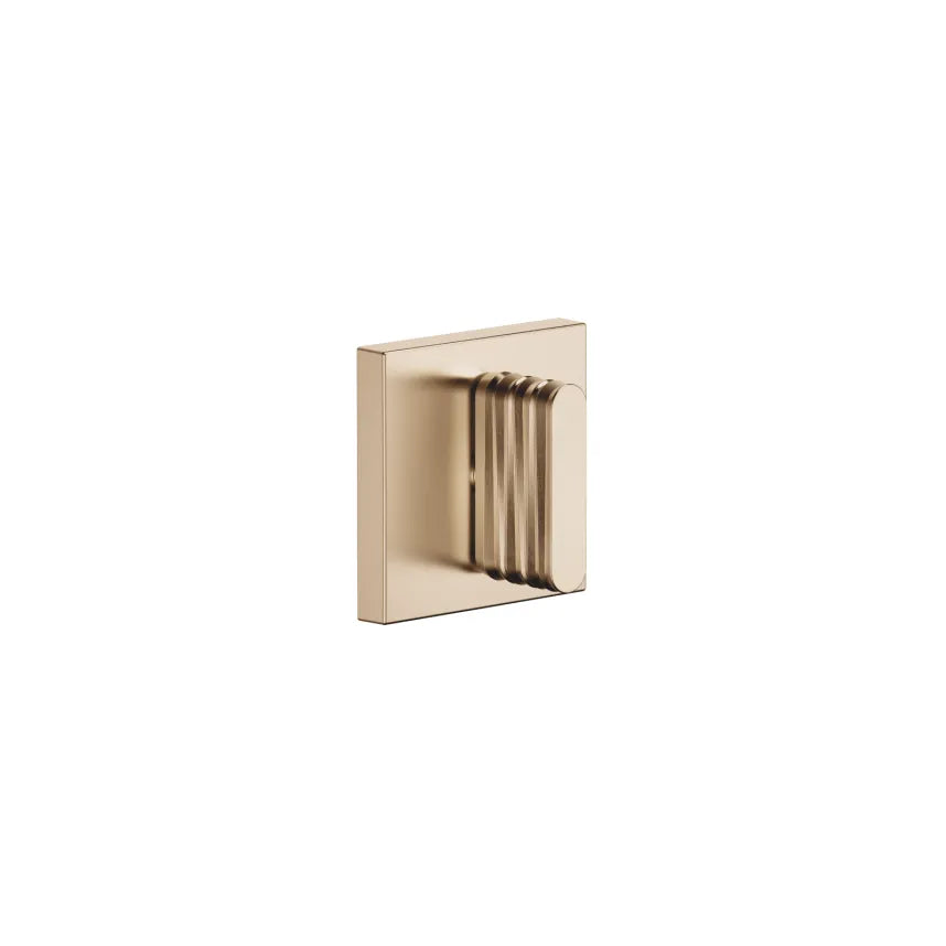 brushed champagne (22kt gold) volume control