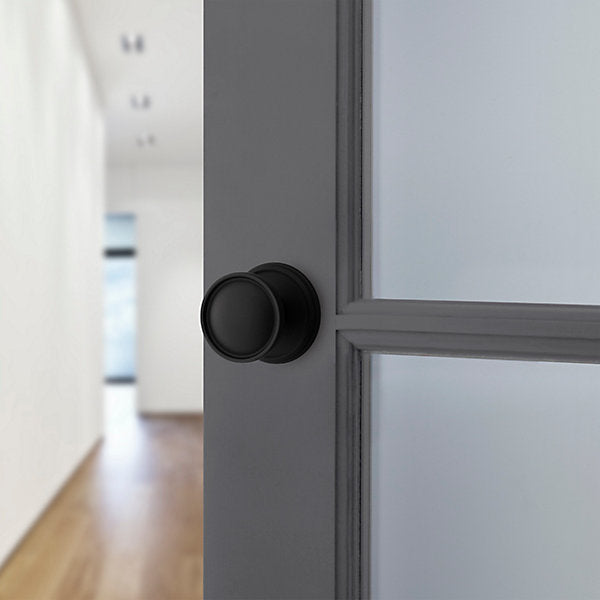satin black knob