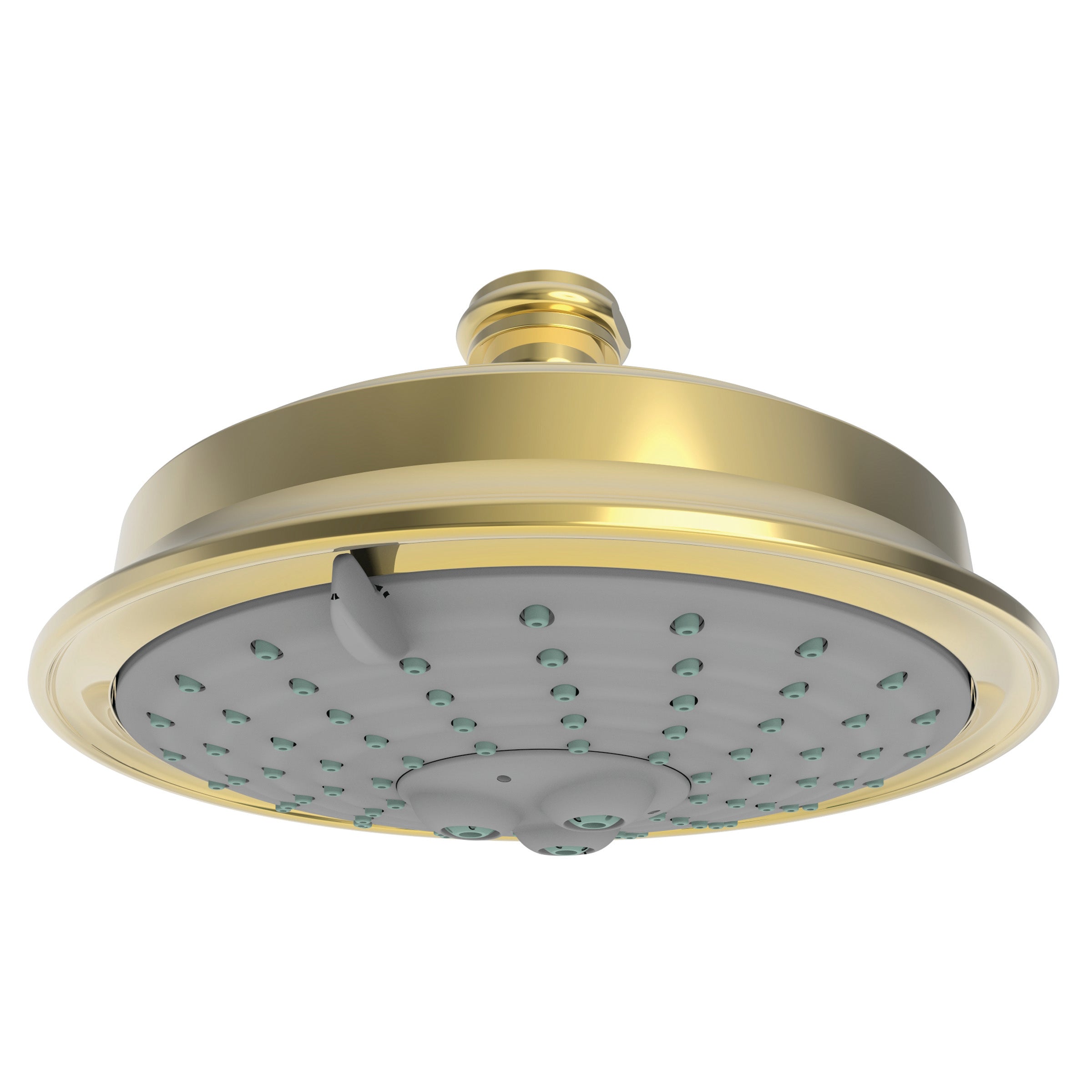 Newport Brass Tub & Shower Multifunction Showerhead