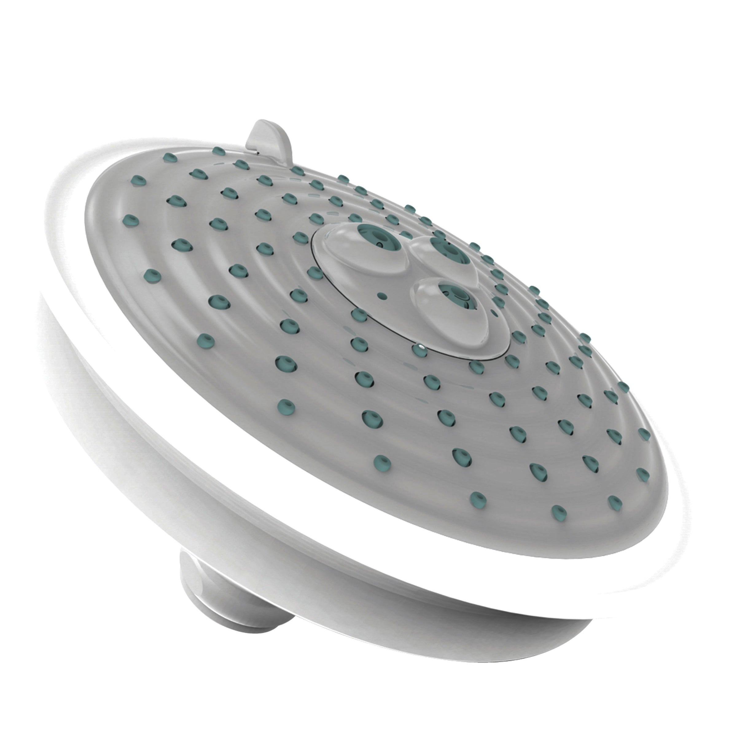 Newport Brass Tub & Shower Multifunction Showerhead