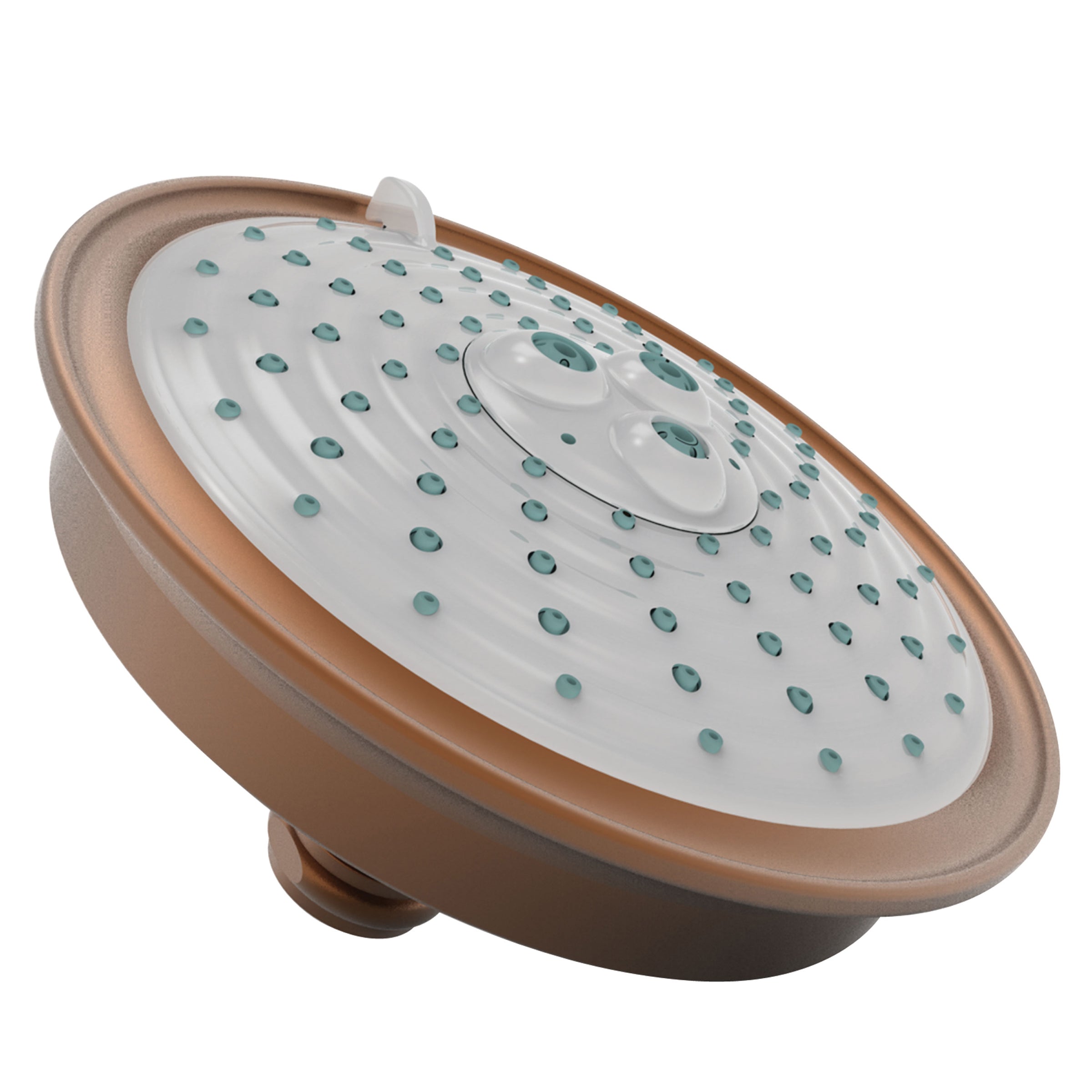 Newport Brass Tub & Shower Multifunction Showerhead