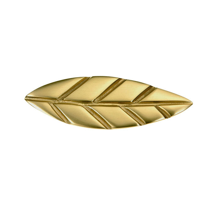 satin brass knob