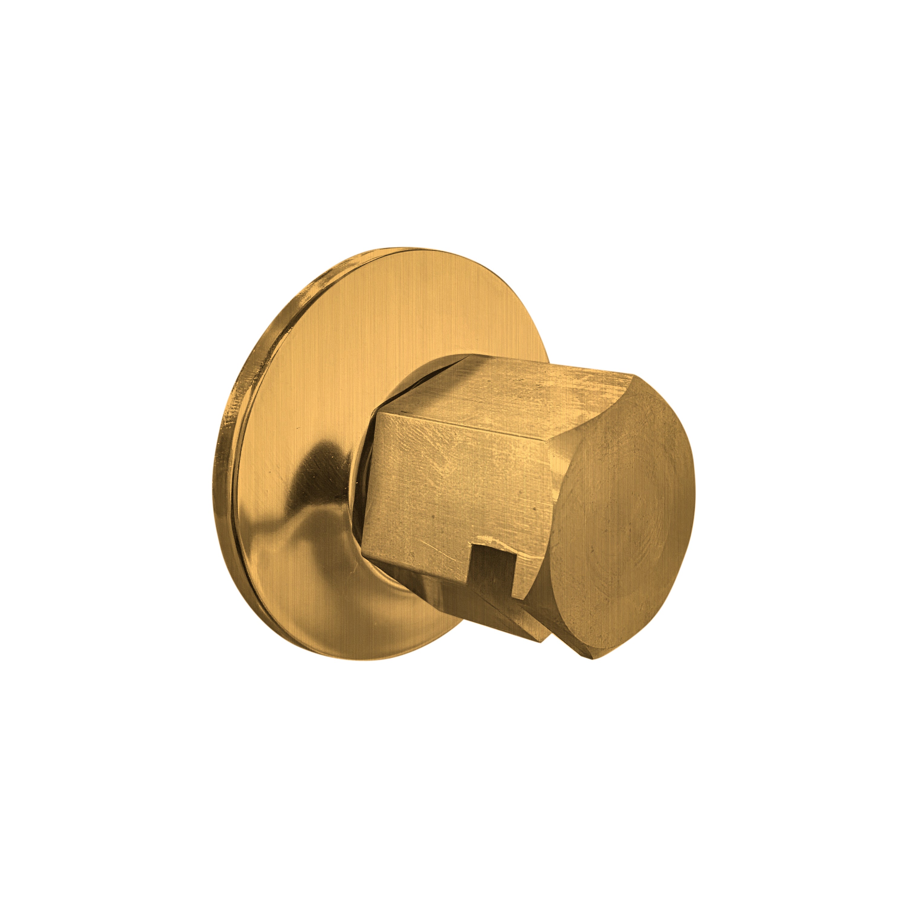 Thermasol Traditional 0.75" Style Steam Head