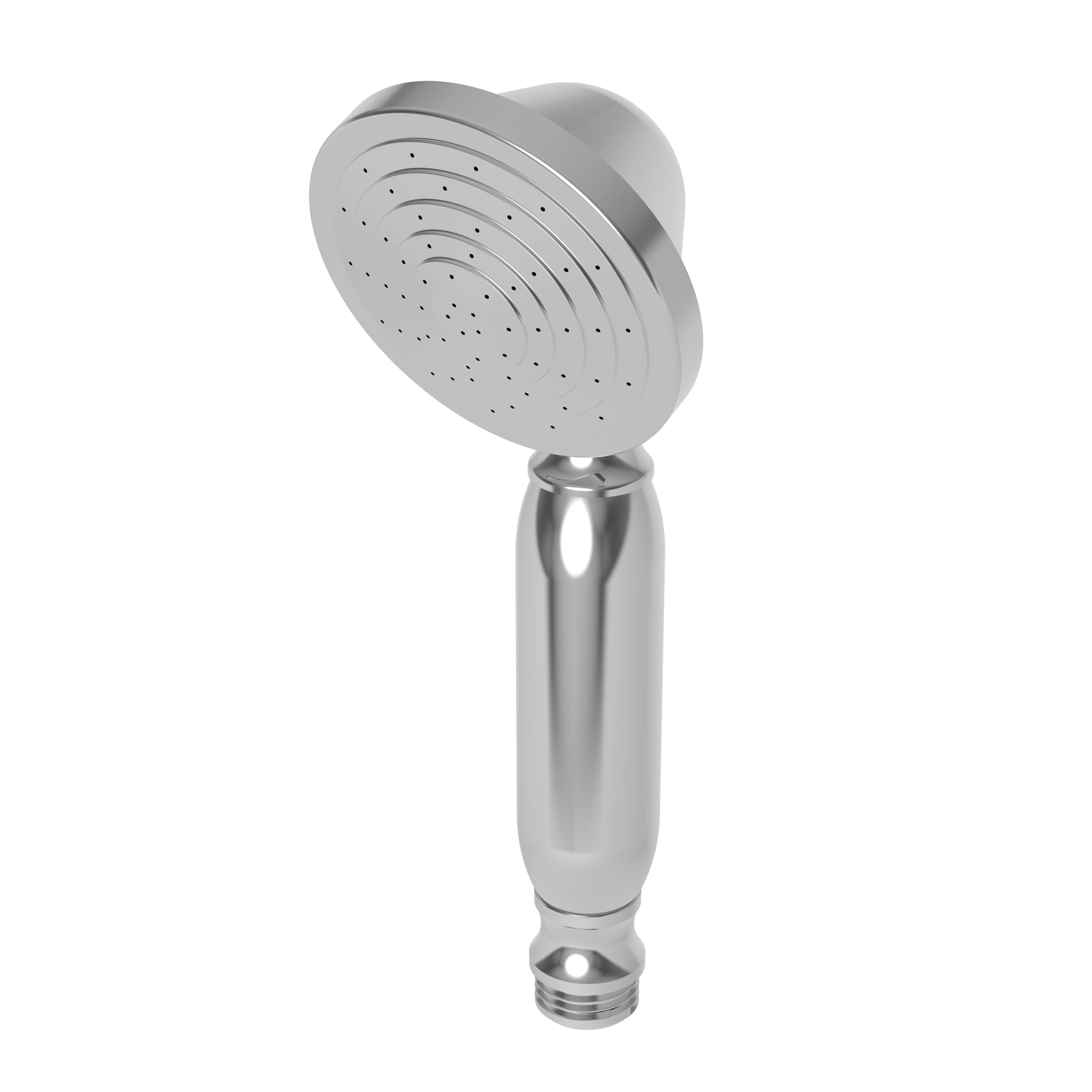 polished chrome hand shower