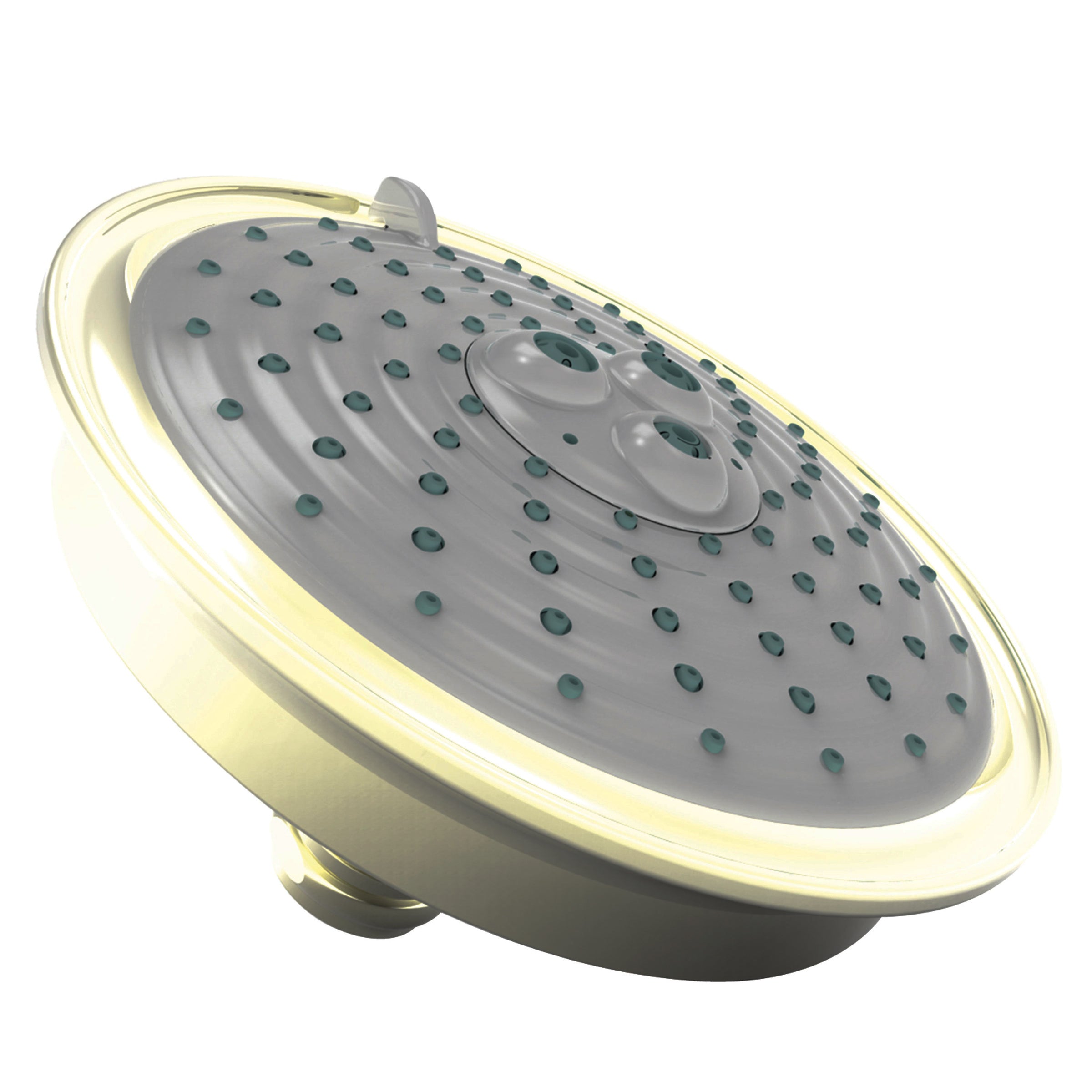 Newport Brass Tub & Shower Multifunction Showerhead