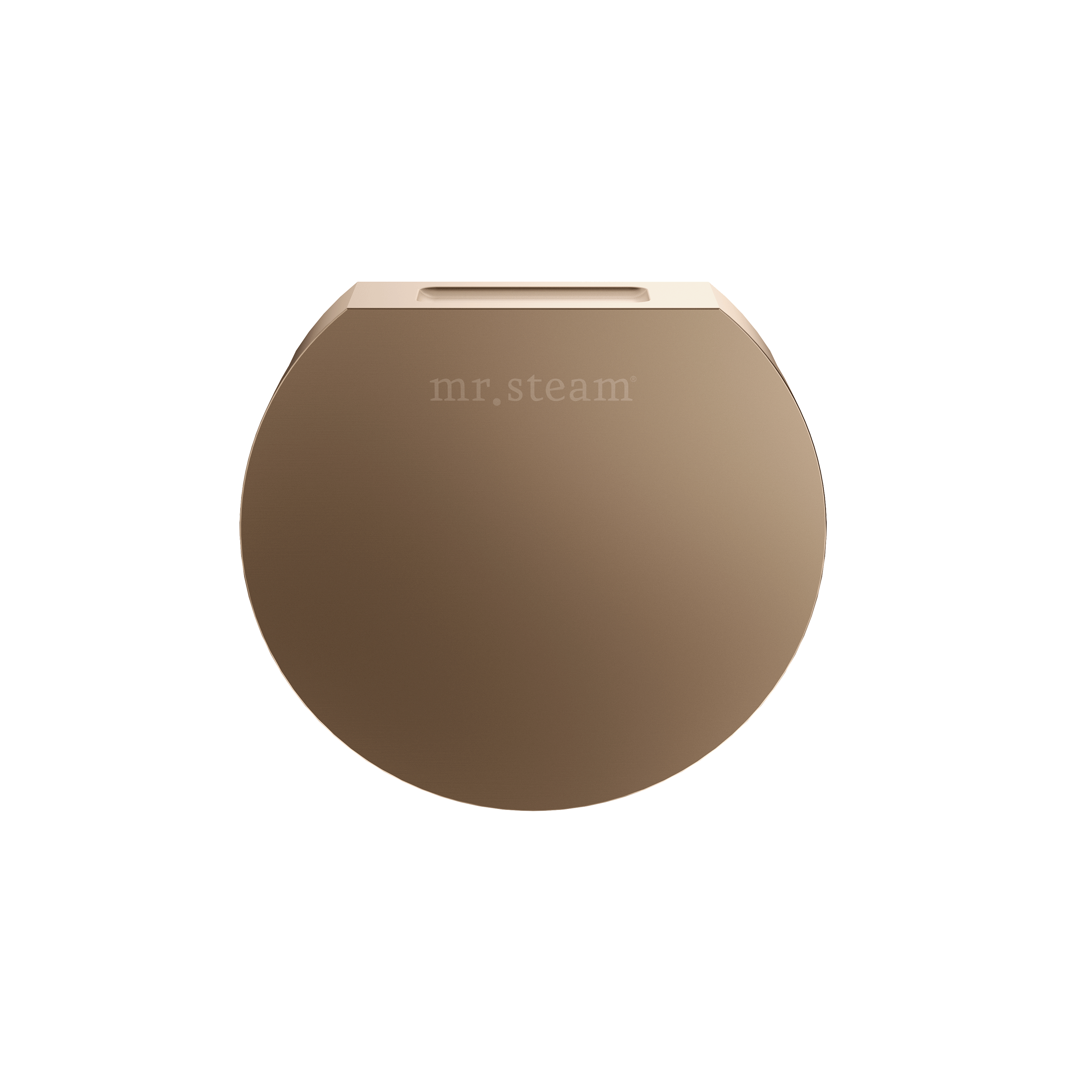 Mr Steam Designer 3" Steamhead with AromaTherapy Reservoir in Round