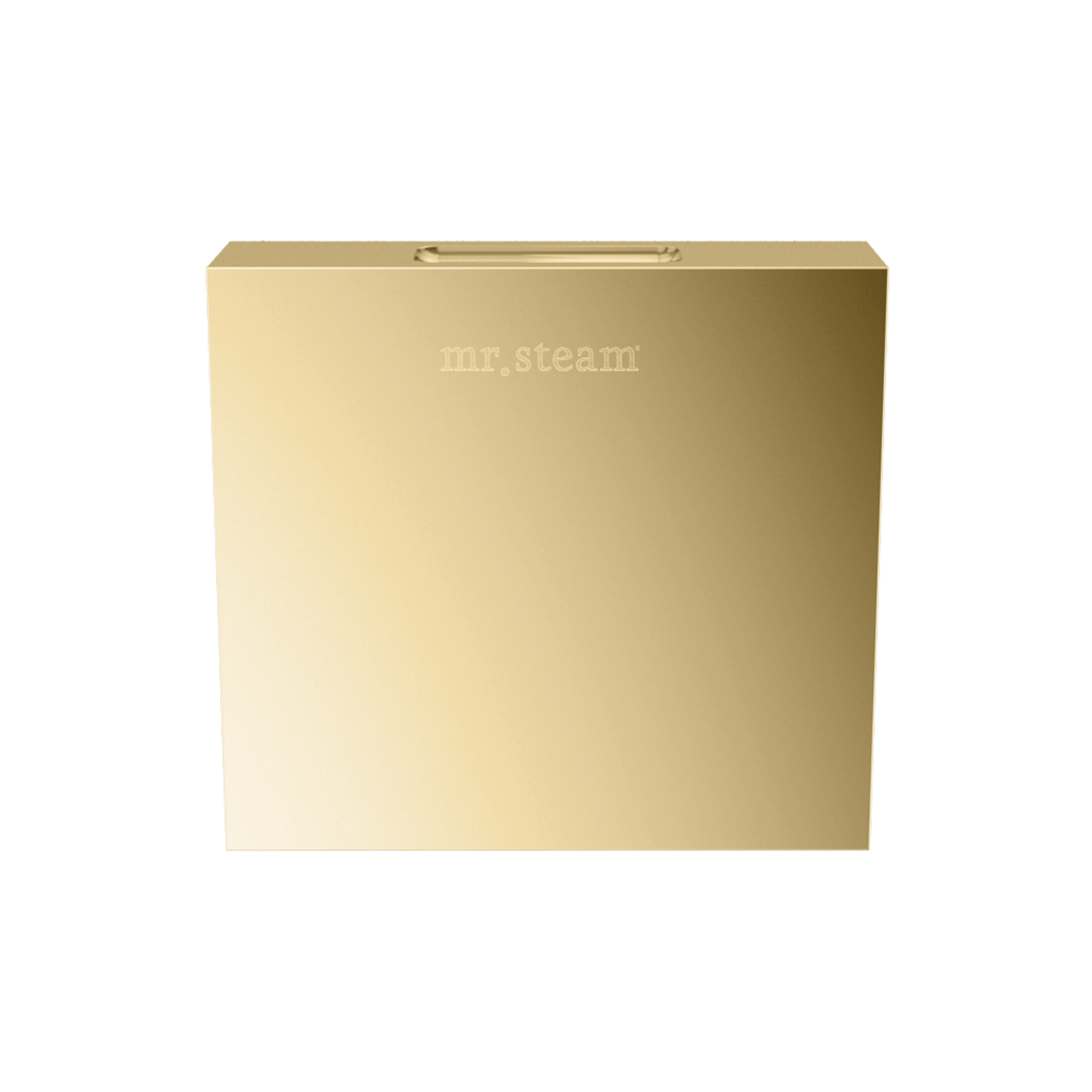 Mr Steam Designer 3" Steamhead with AromaTherapy Reservoir in Square