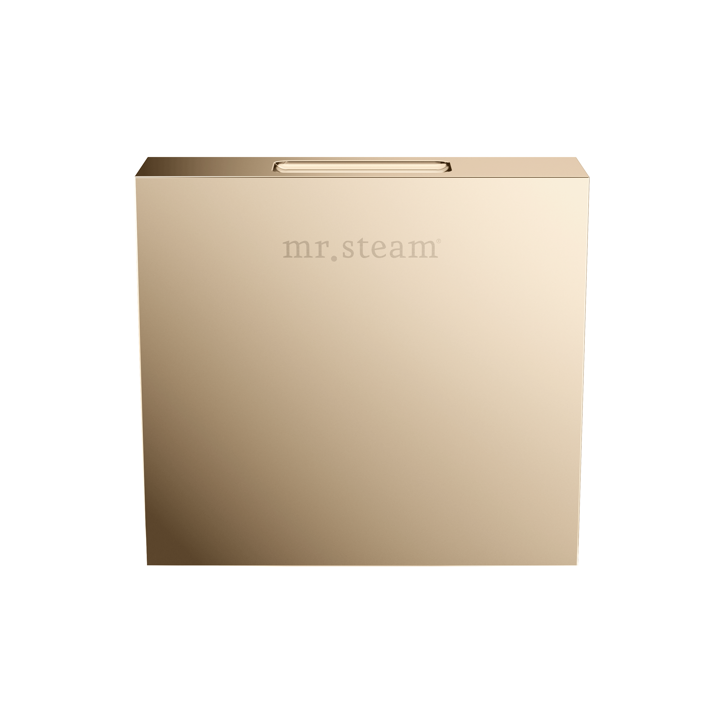 Mr Steam Designer 3" Steamhead with AromaTherapy Reservoir in Square