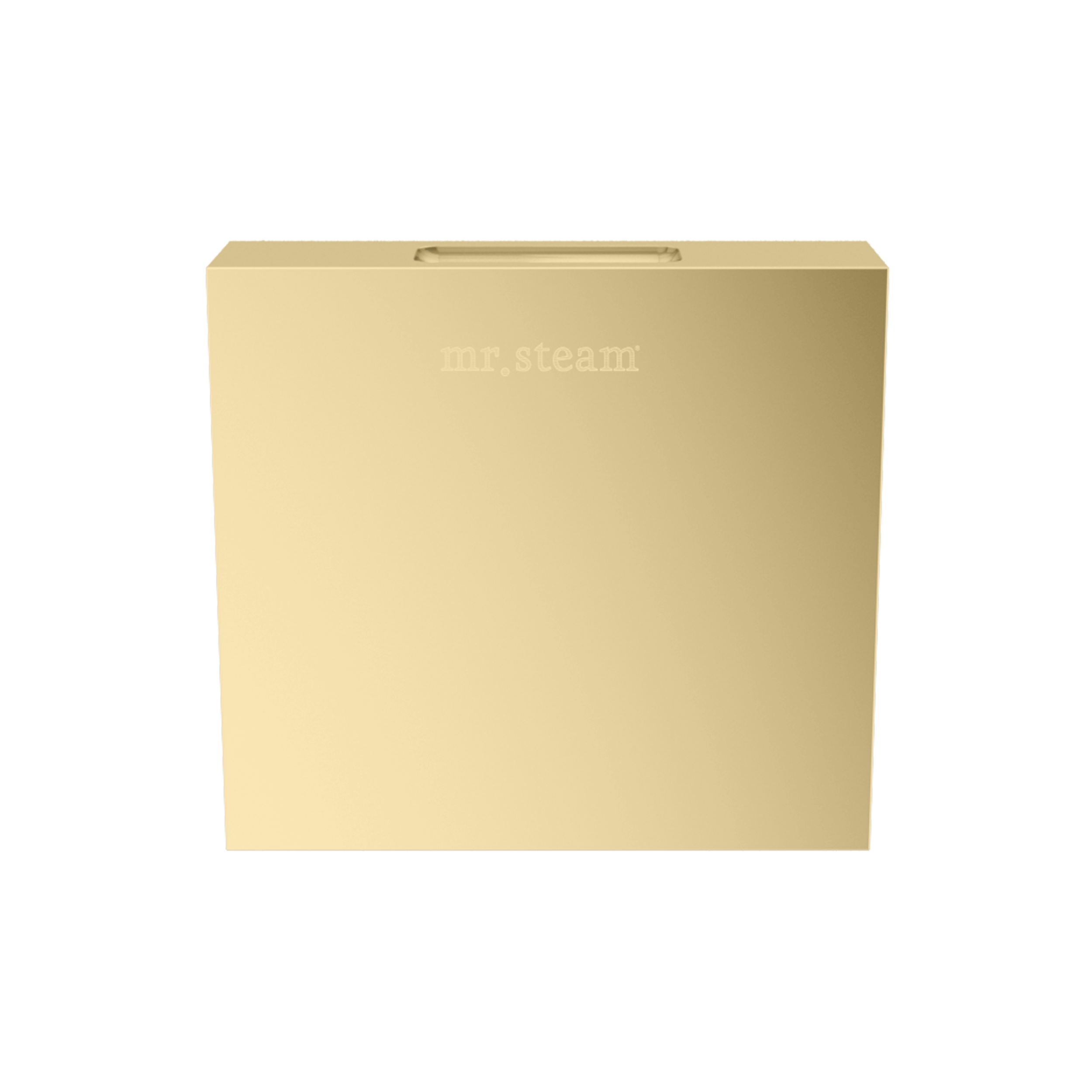 Mr Steam Designer 3" Steamhead with AromaTherapy Reservoir in Square