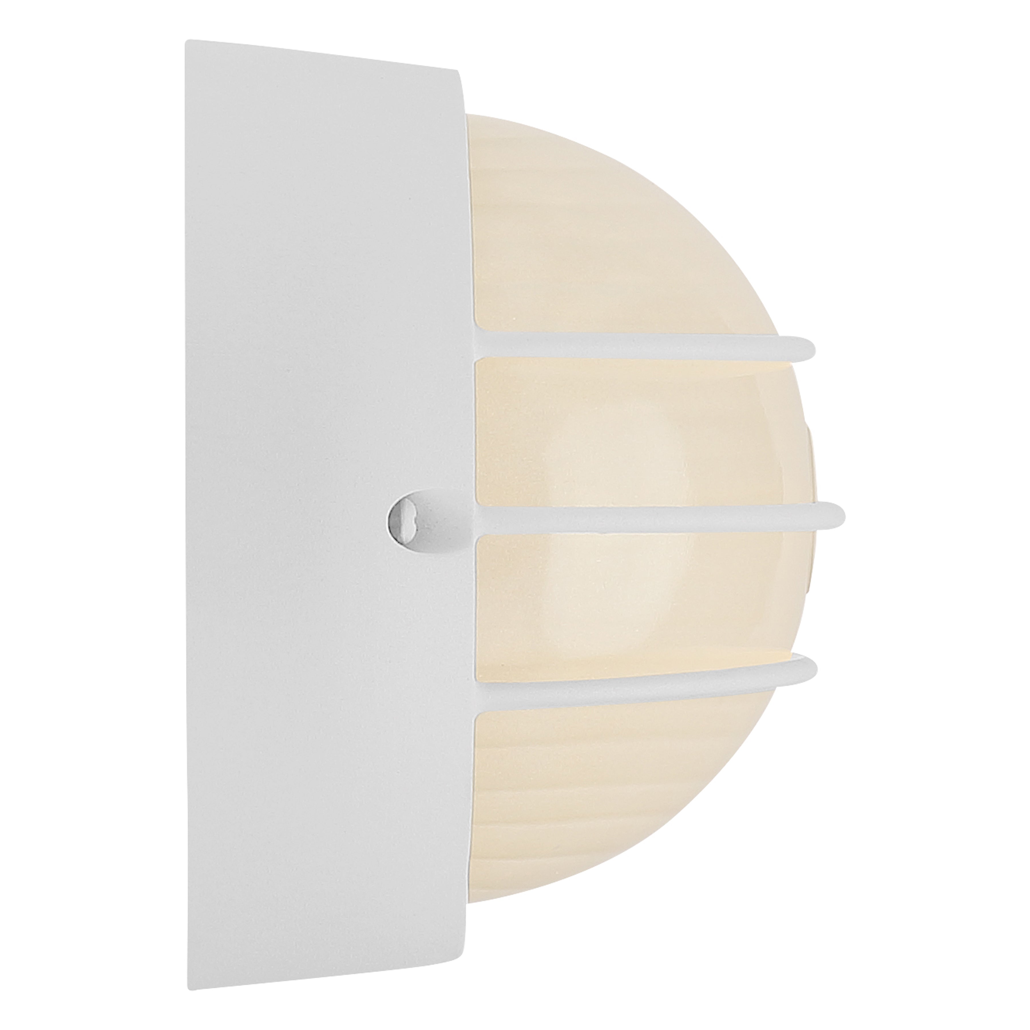 white led bulkhead