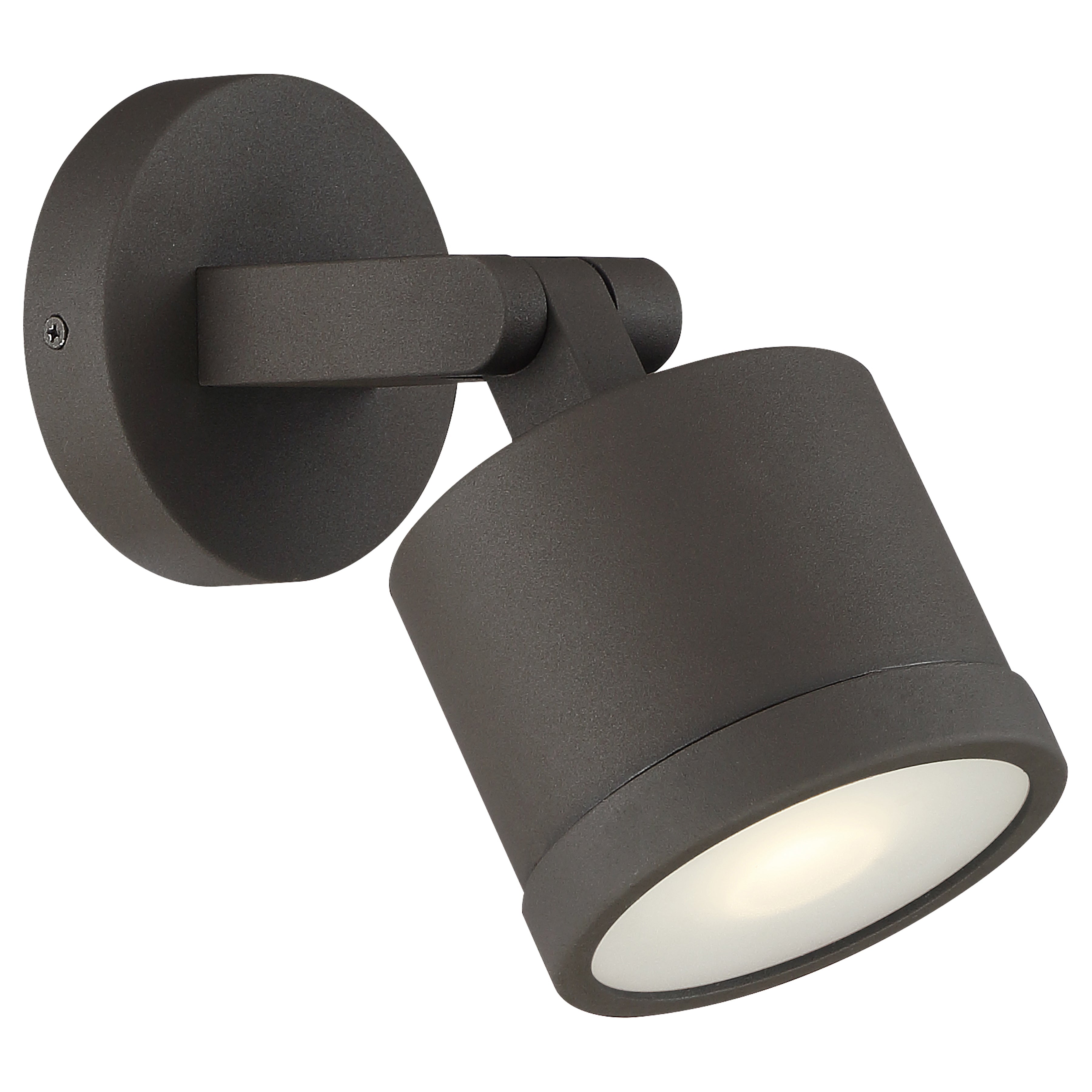 bronze outdoor adjustable light