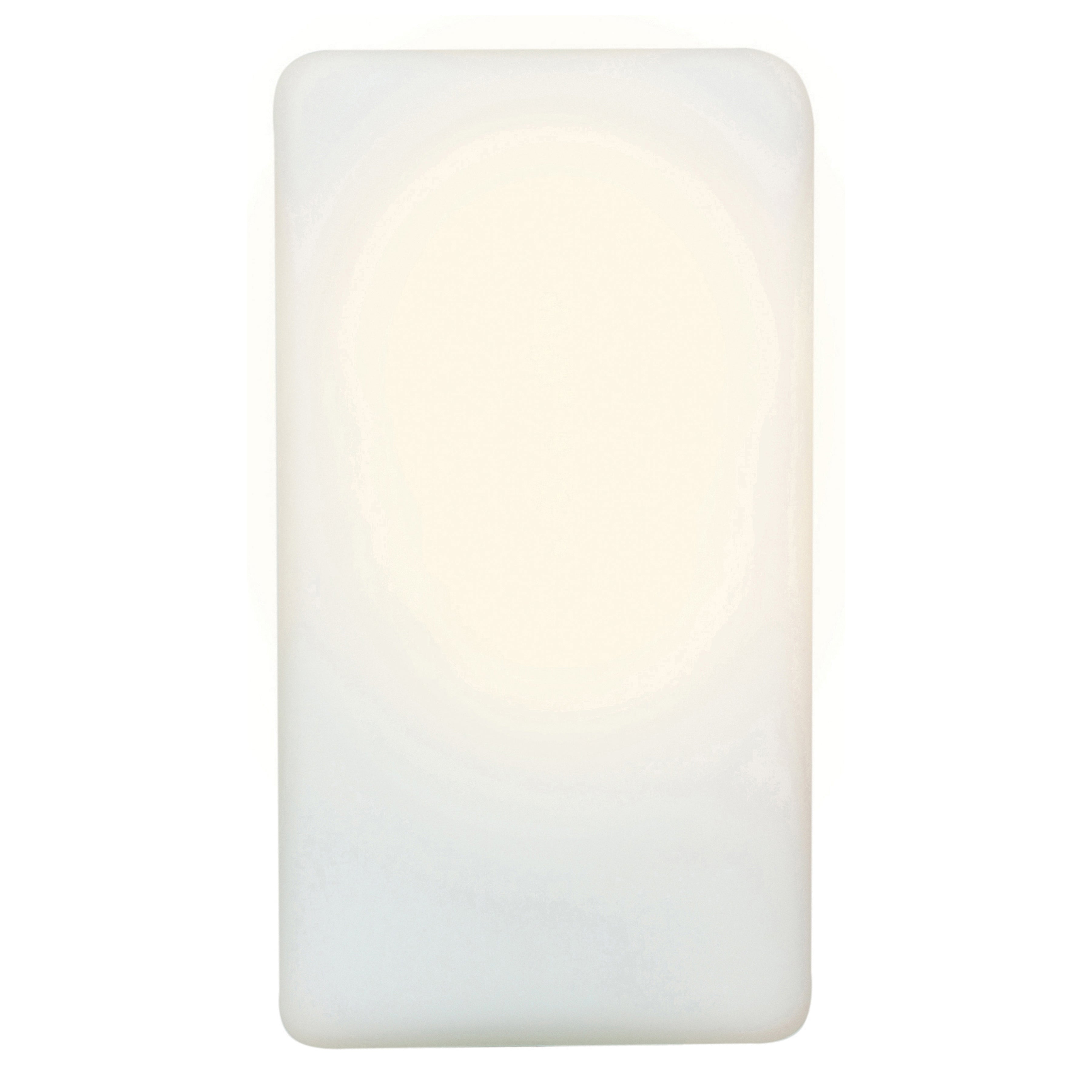 light outdoor wall mount