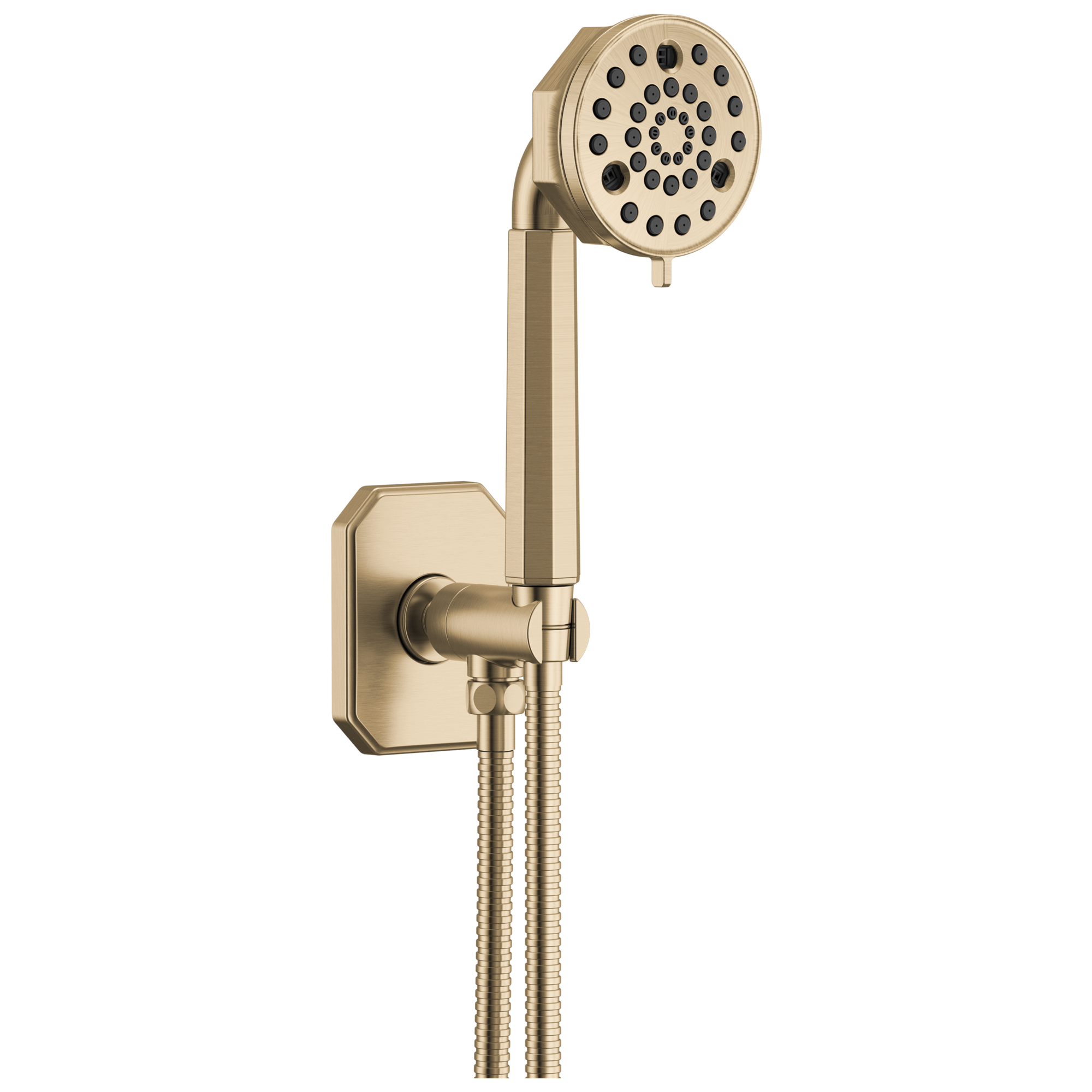 Brizo Beauclere Multi-Function Wall Mount Hand Shower