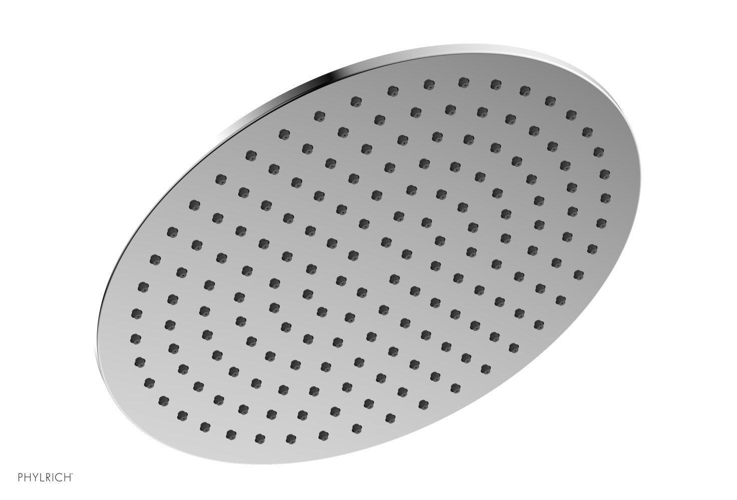 polished chrome shower head