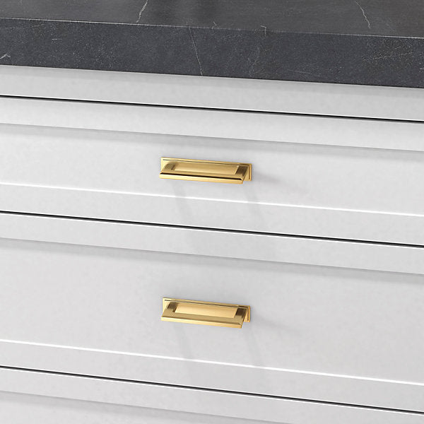 polished brass back plate