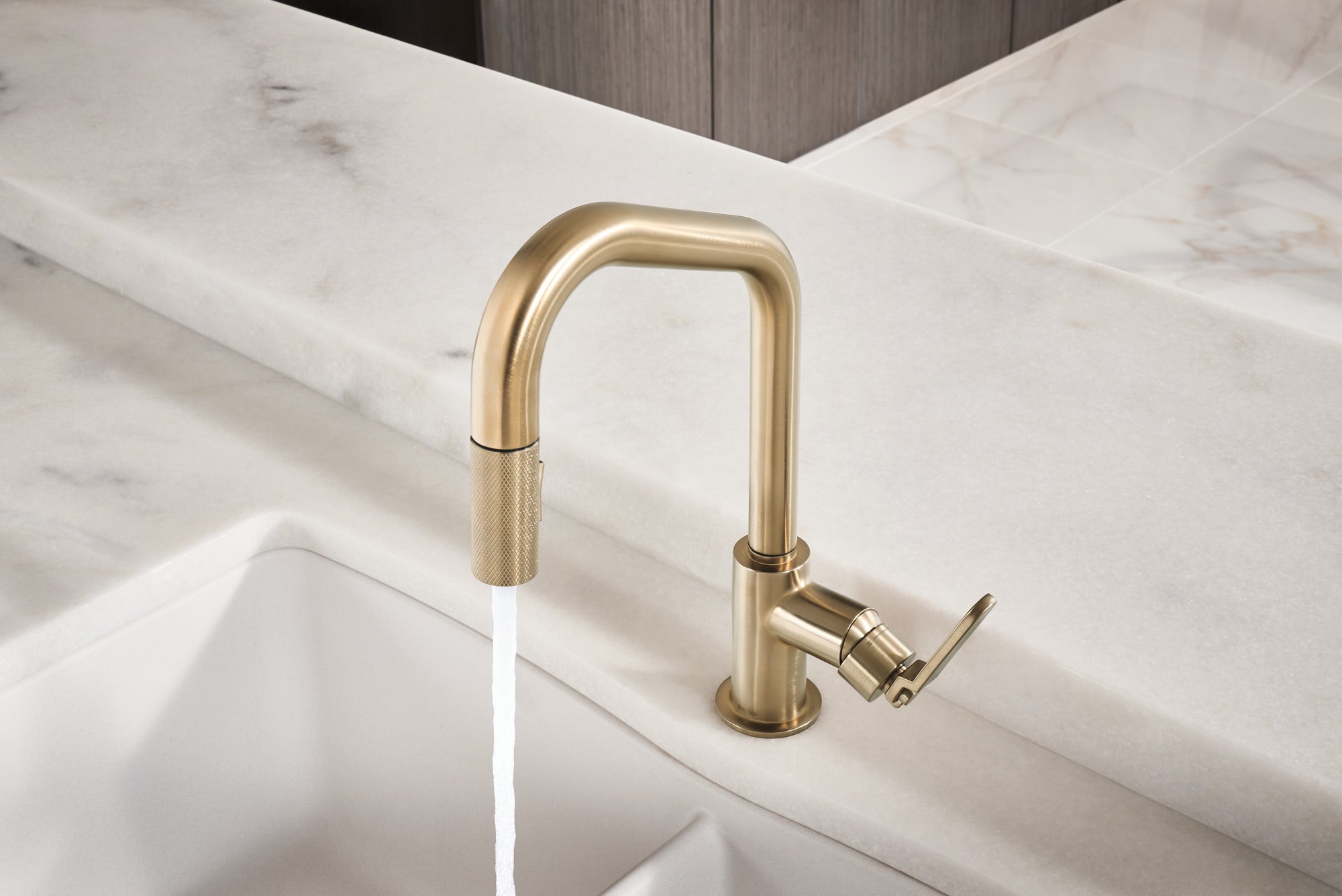 luxe gold pull-down faucet