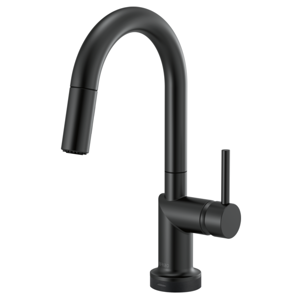 matte black kitchen faucet