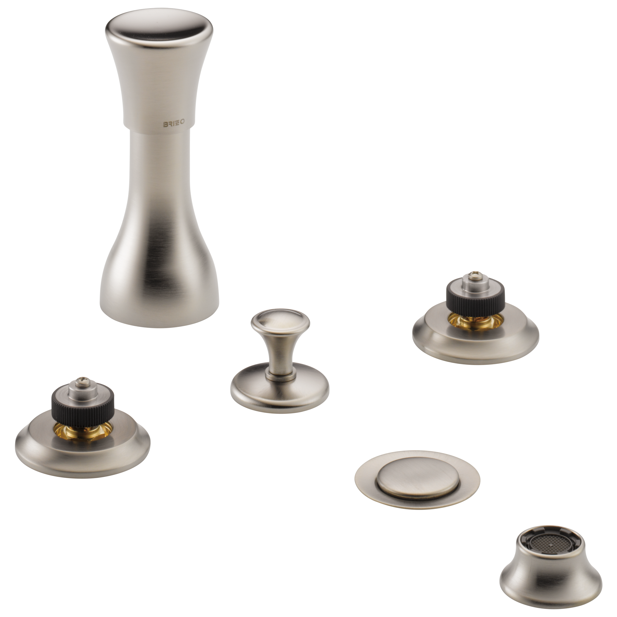 luxe nickel bidet