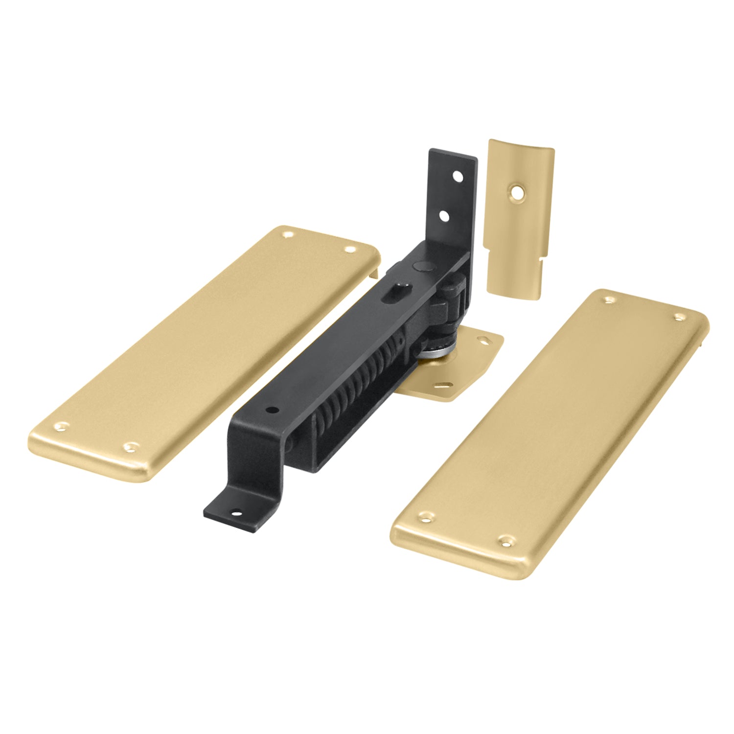 Deltana Double Action Spring Hinge with Solid Brass Cover Plates