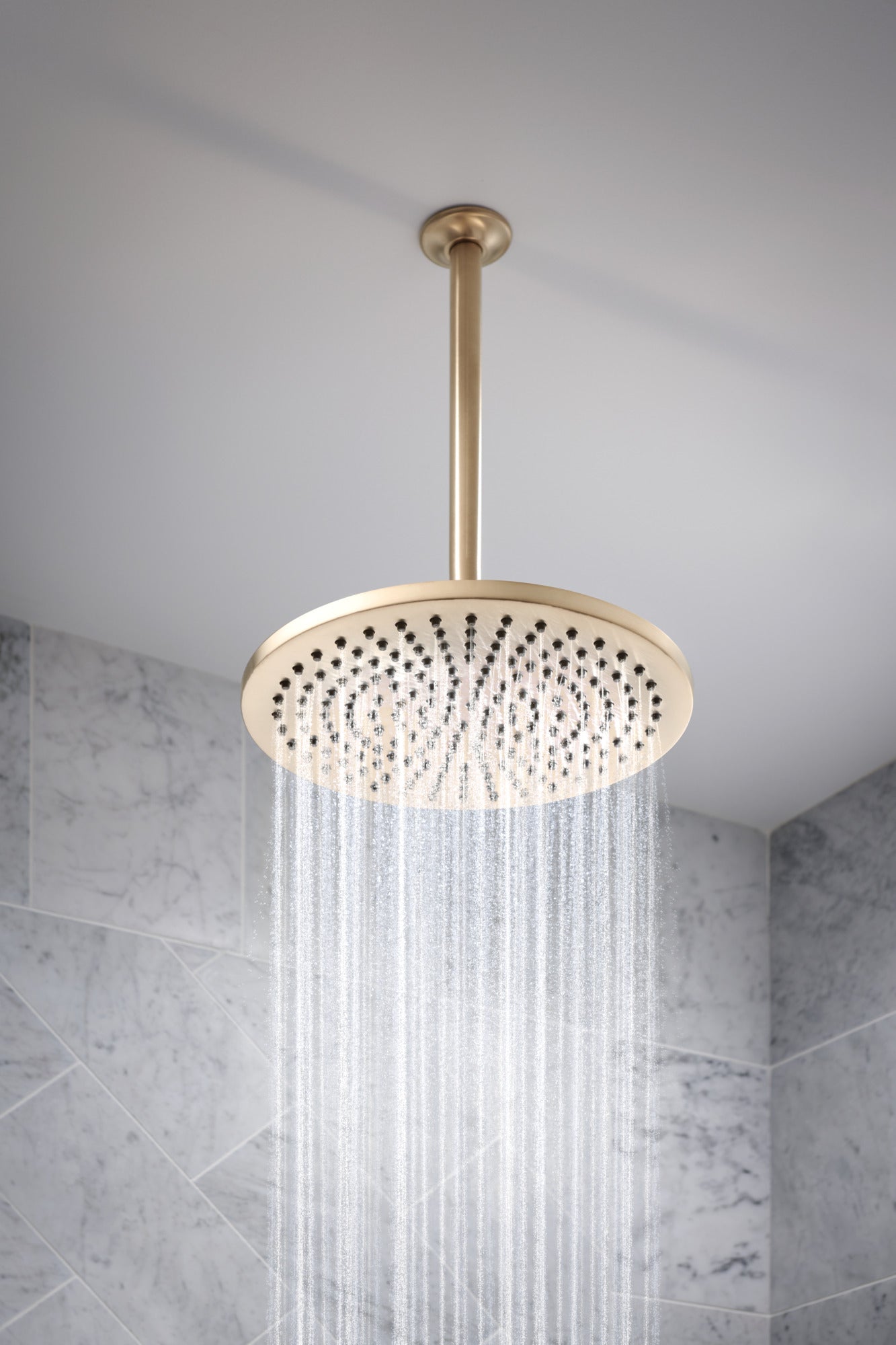 luxe gold shower head