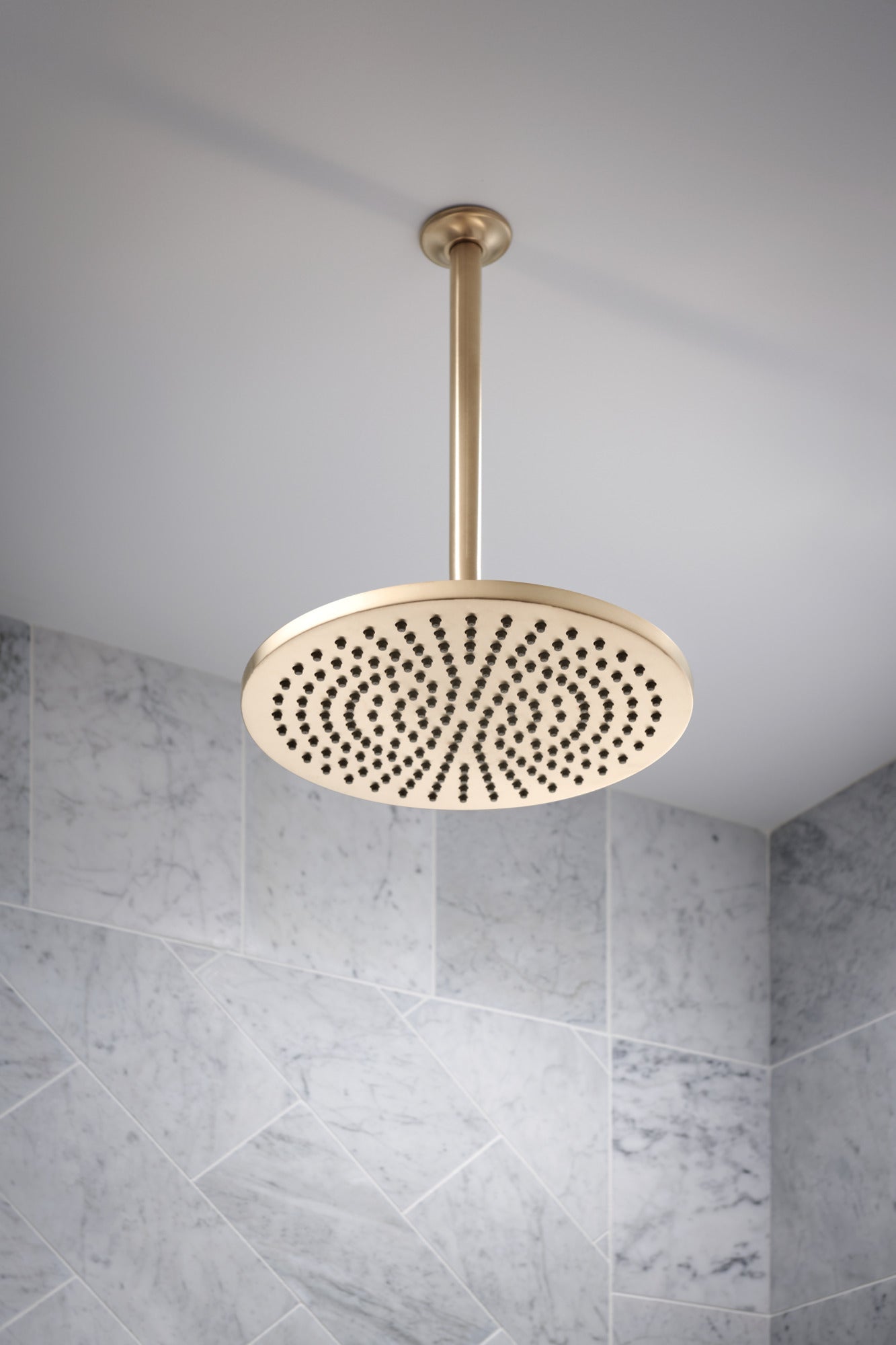 luxe gold shower arm and flange