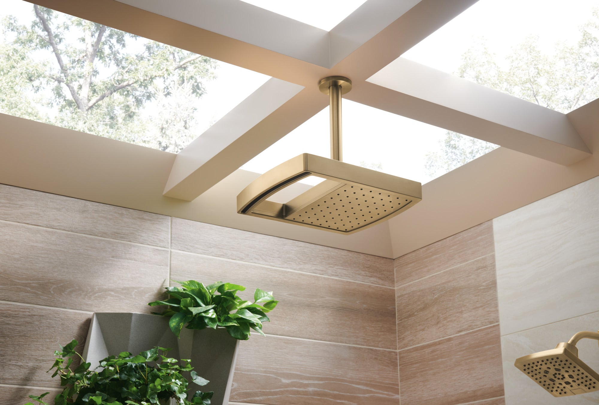 luxe gold shower arm and flange