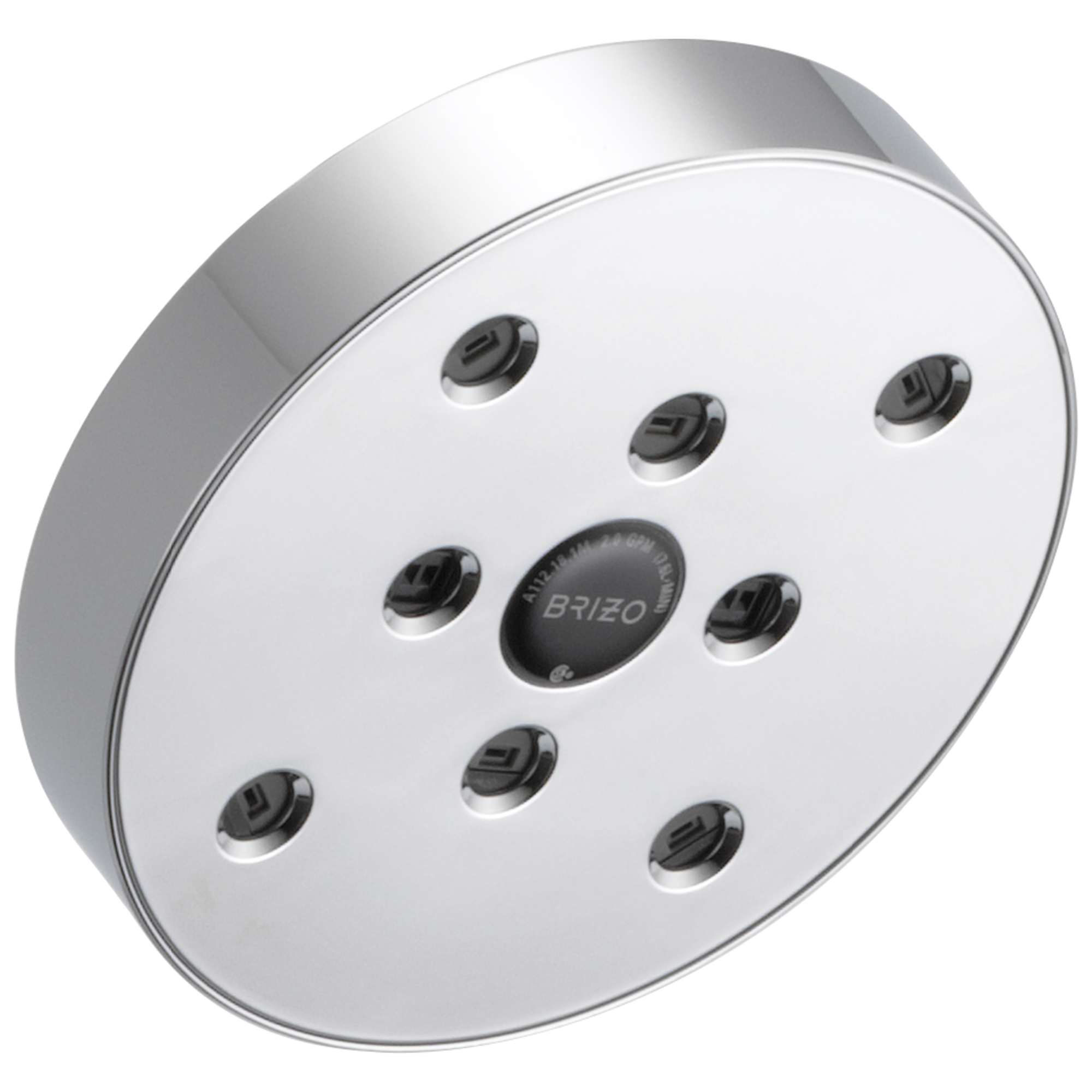 chrome showerhead