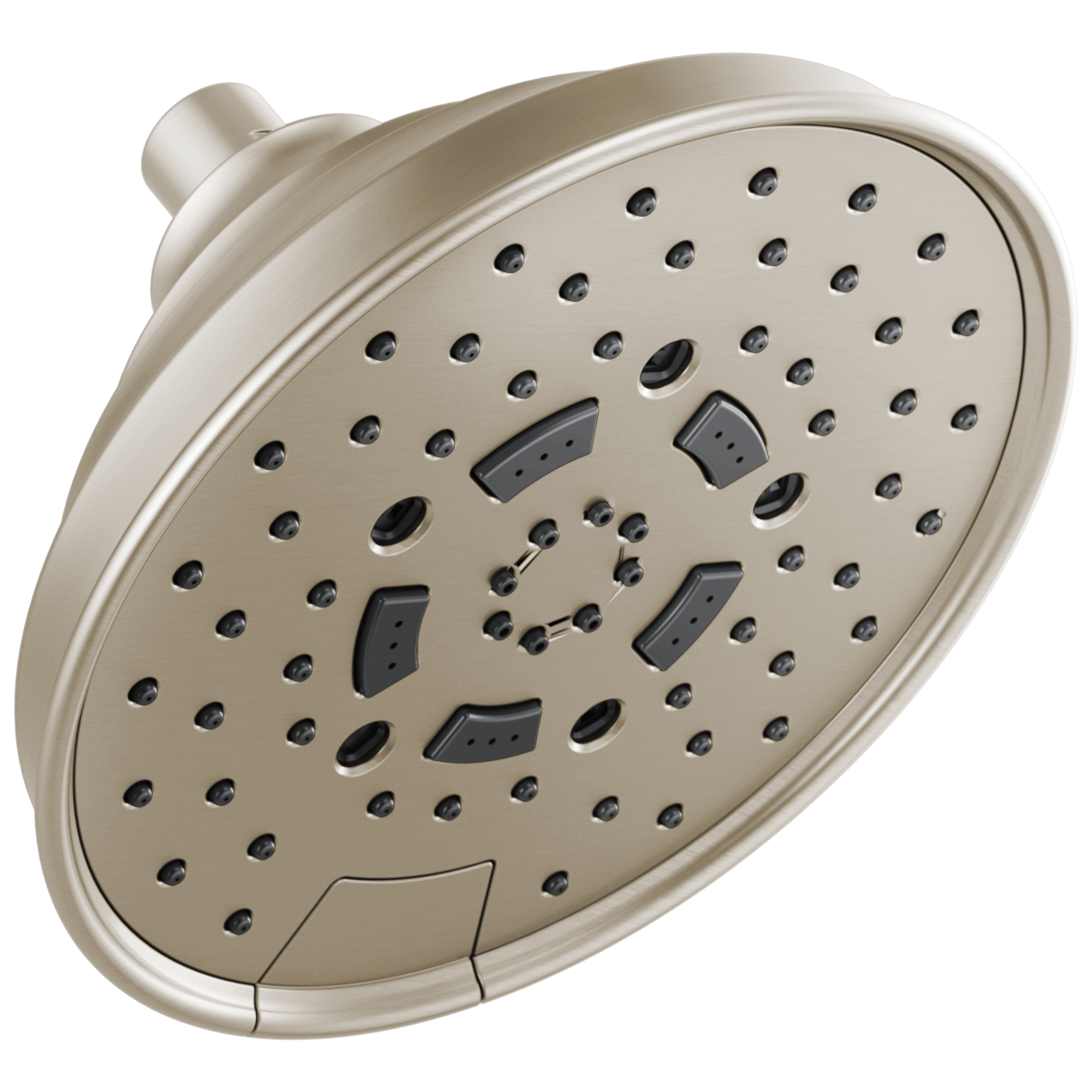 brushed nickel shower head