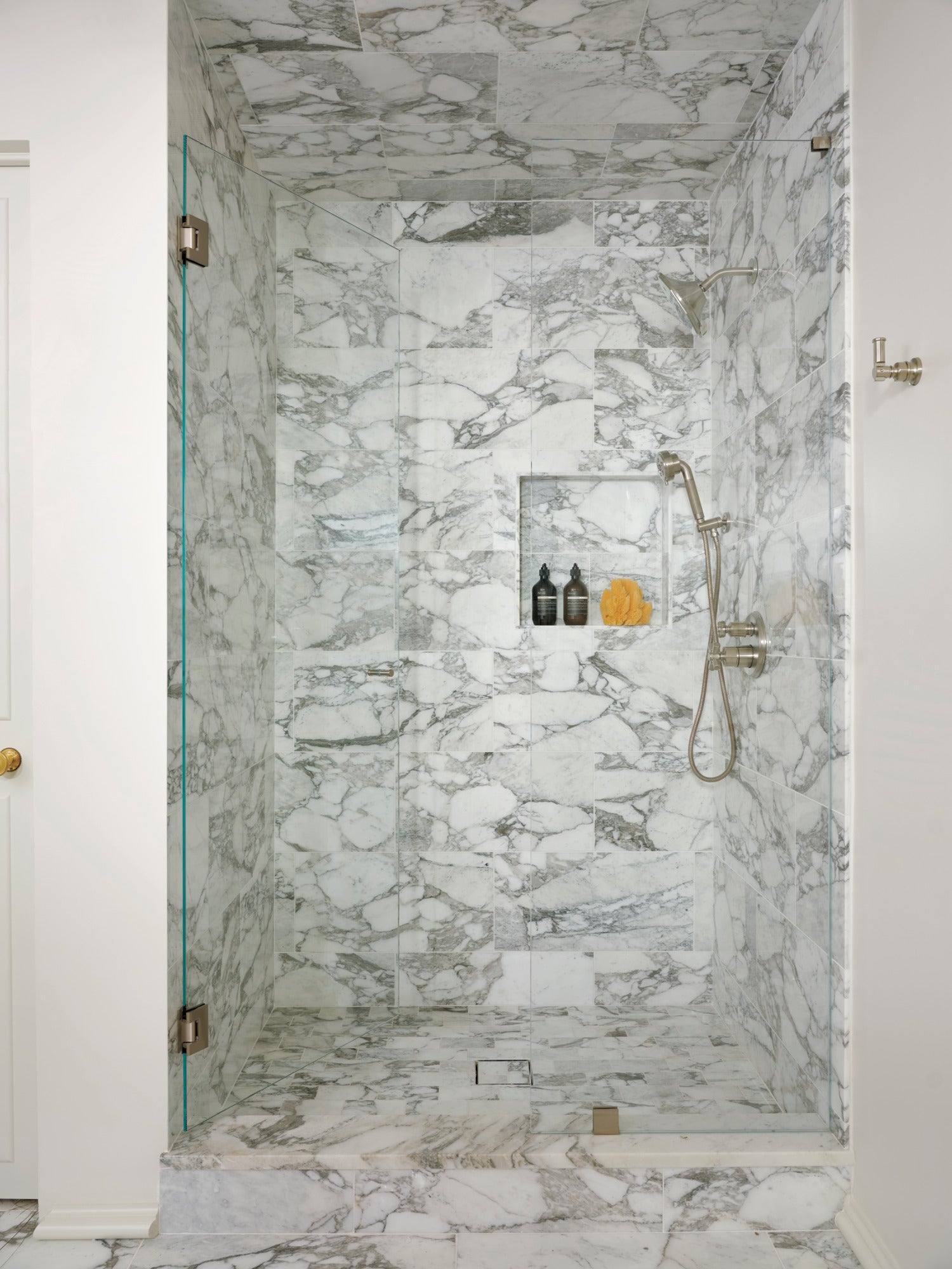 luxe nickel handshower