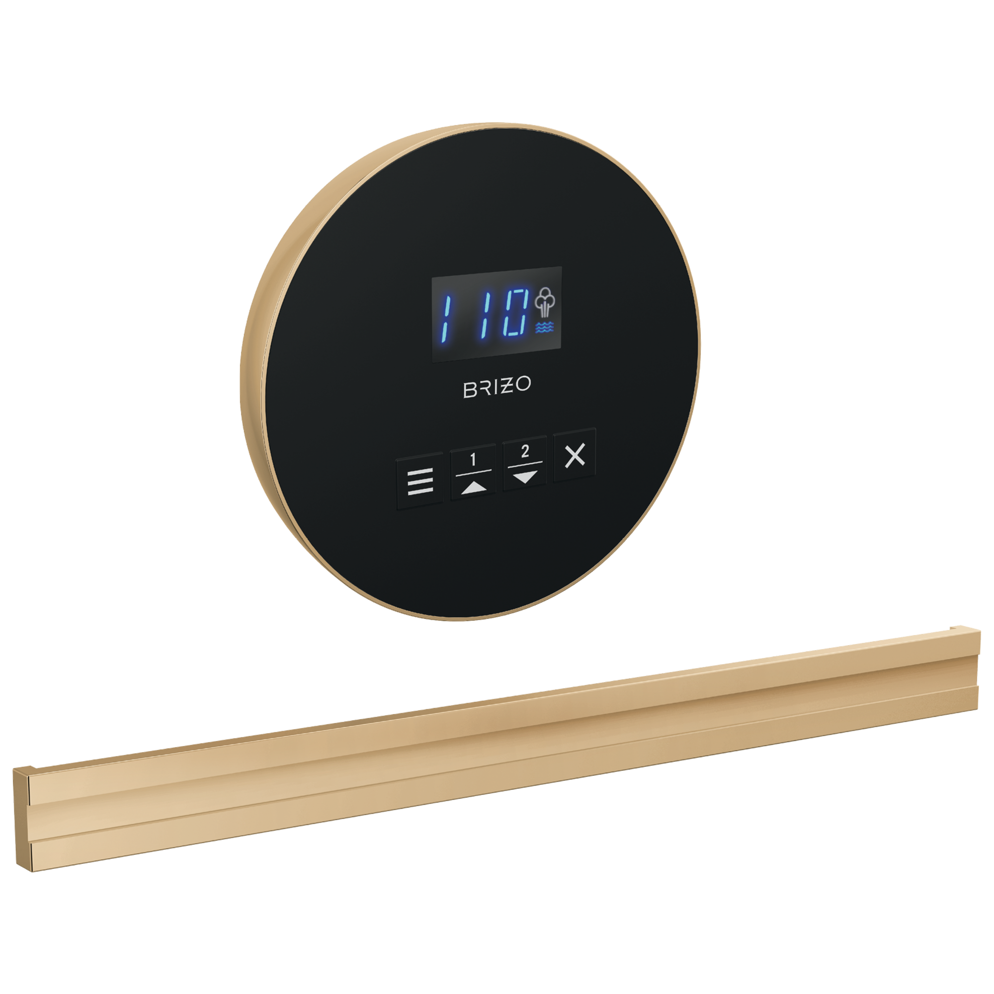 Brizo Round + Bilateral Steam Set
