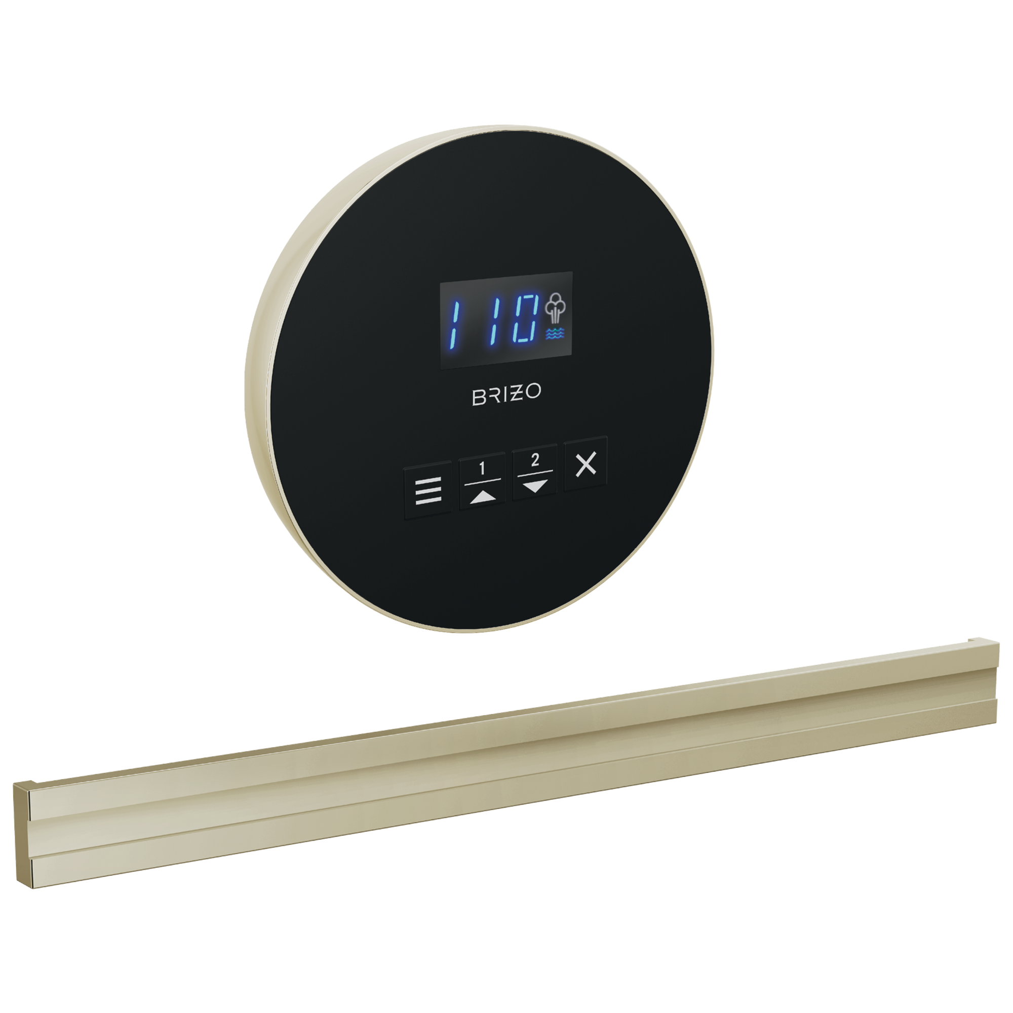 Brizo Round + Bilateral Steam Set