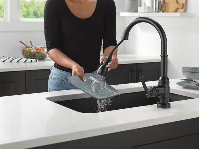 matte black kitchen faucet