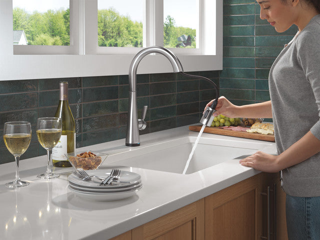 lumicoat arctic stainless kitchen faucet