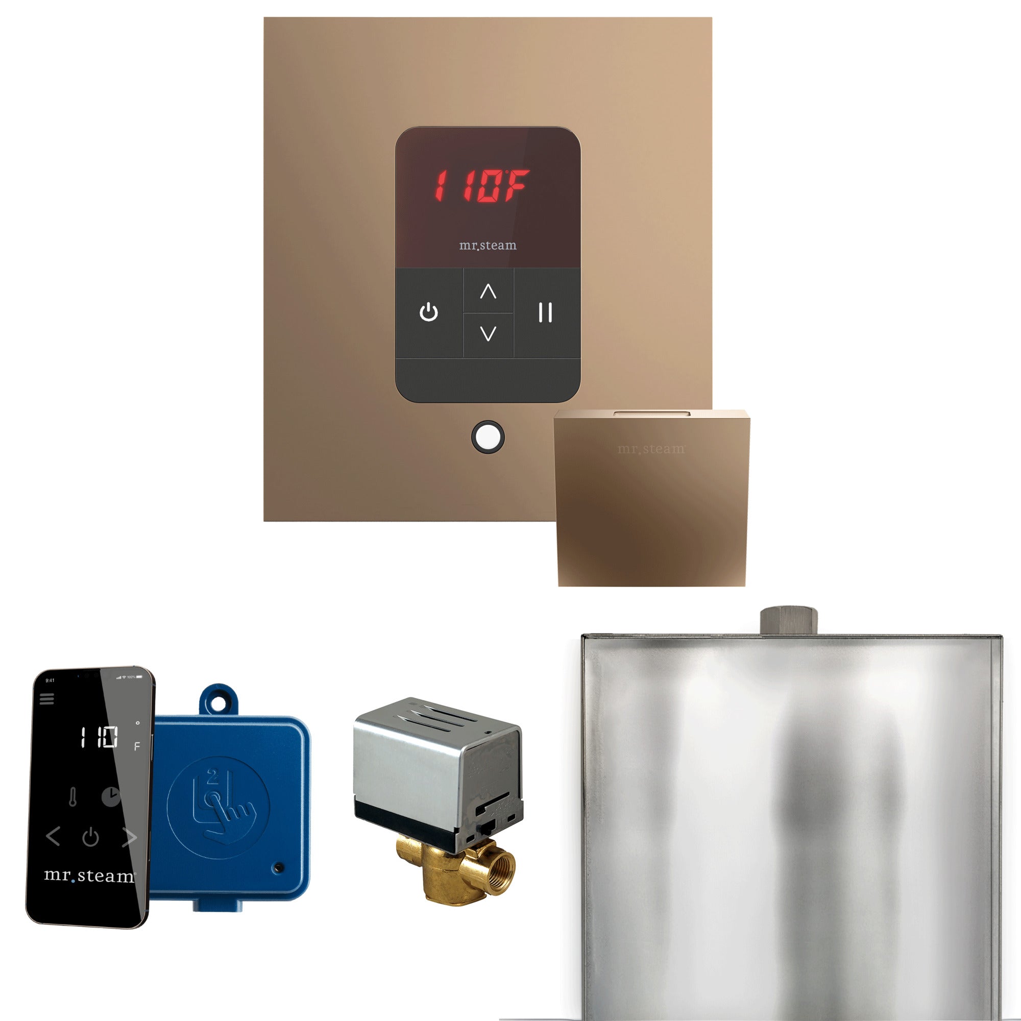 Mr Steam Basic Butler Steam Shower Control Package with Square iTempo Control and Linear Steamhead