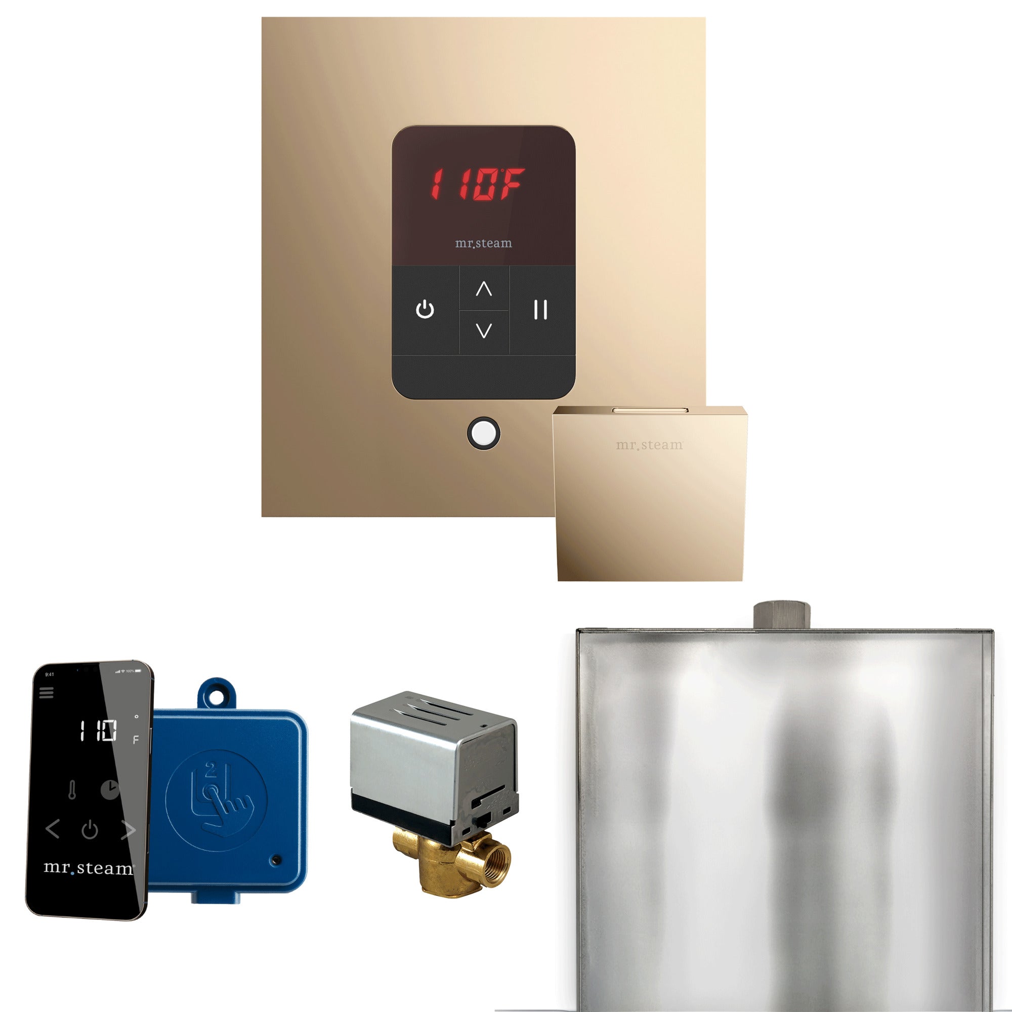 Mr Steam Basic Butler Steam Shower Control Package with Square iTempo Control and Linear Steamhead